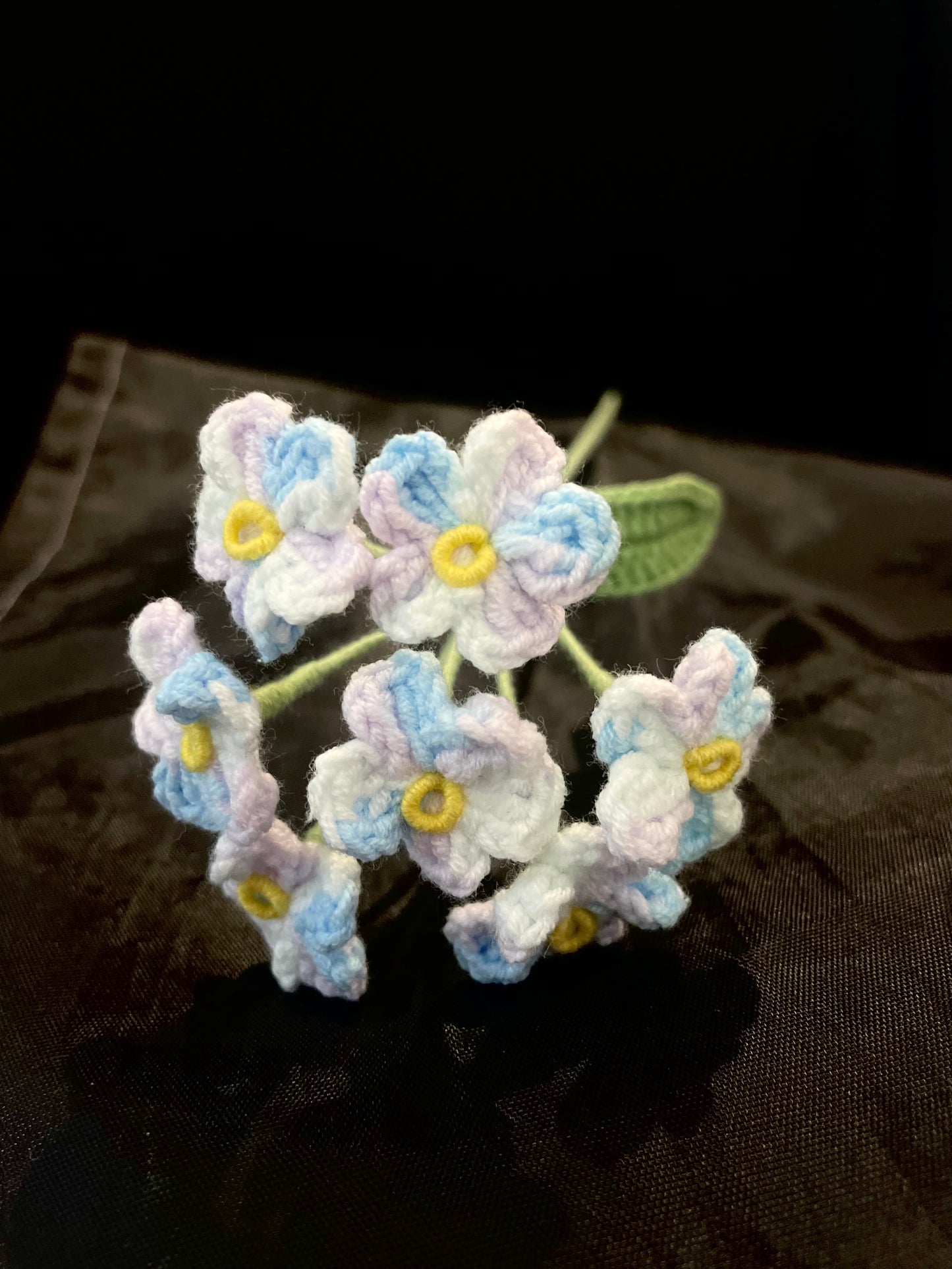 Forget-me-not