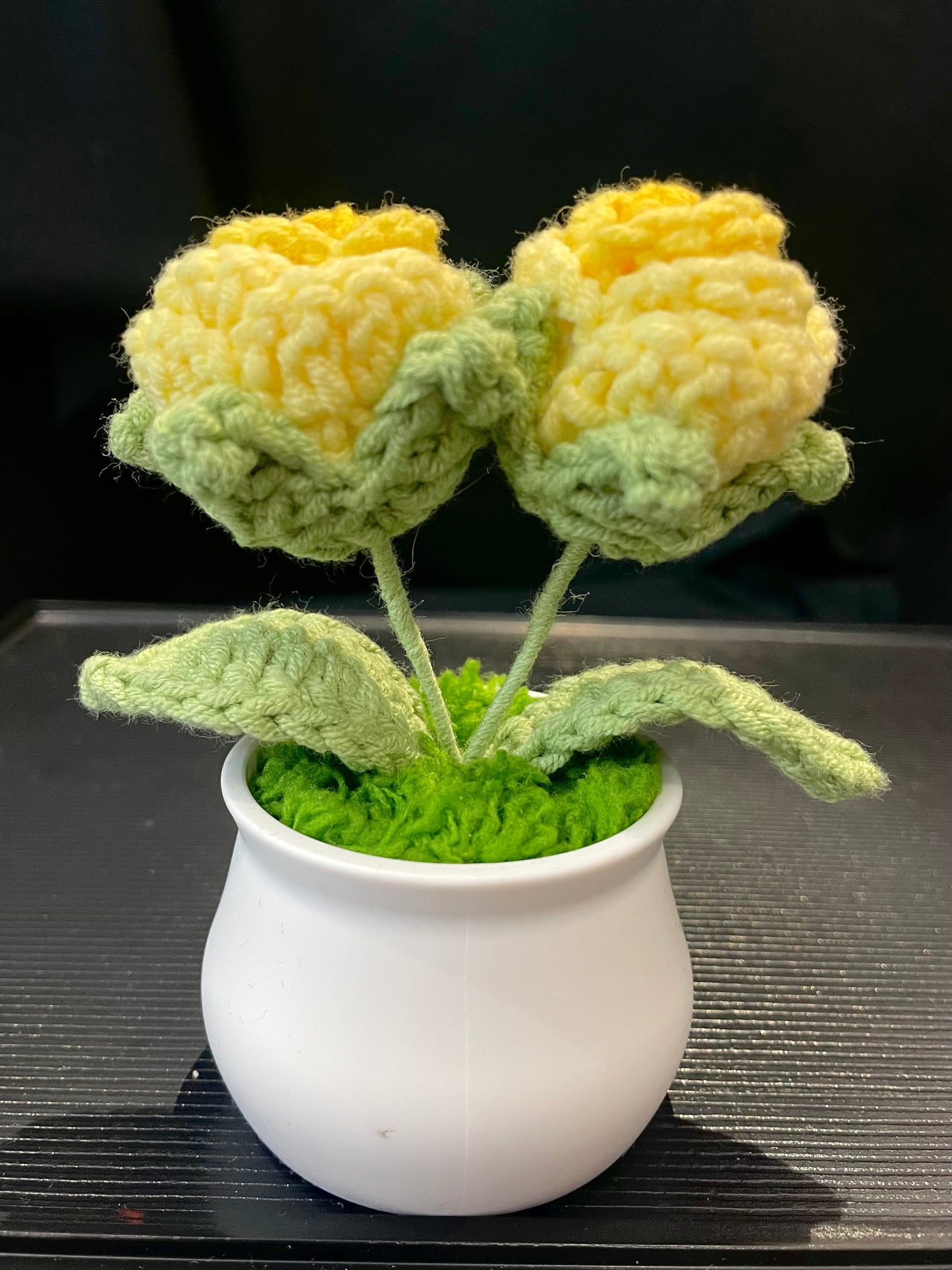 Rose in White Pot