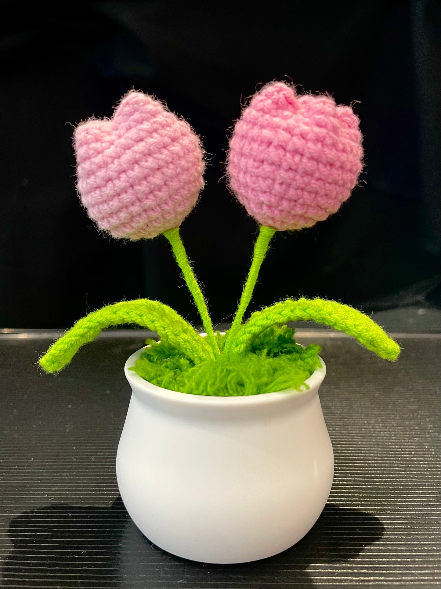 Tulip in White Pot