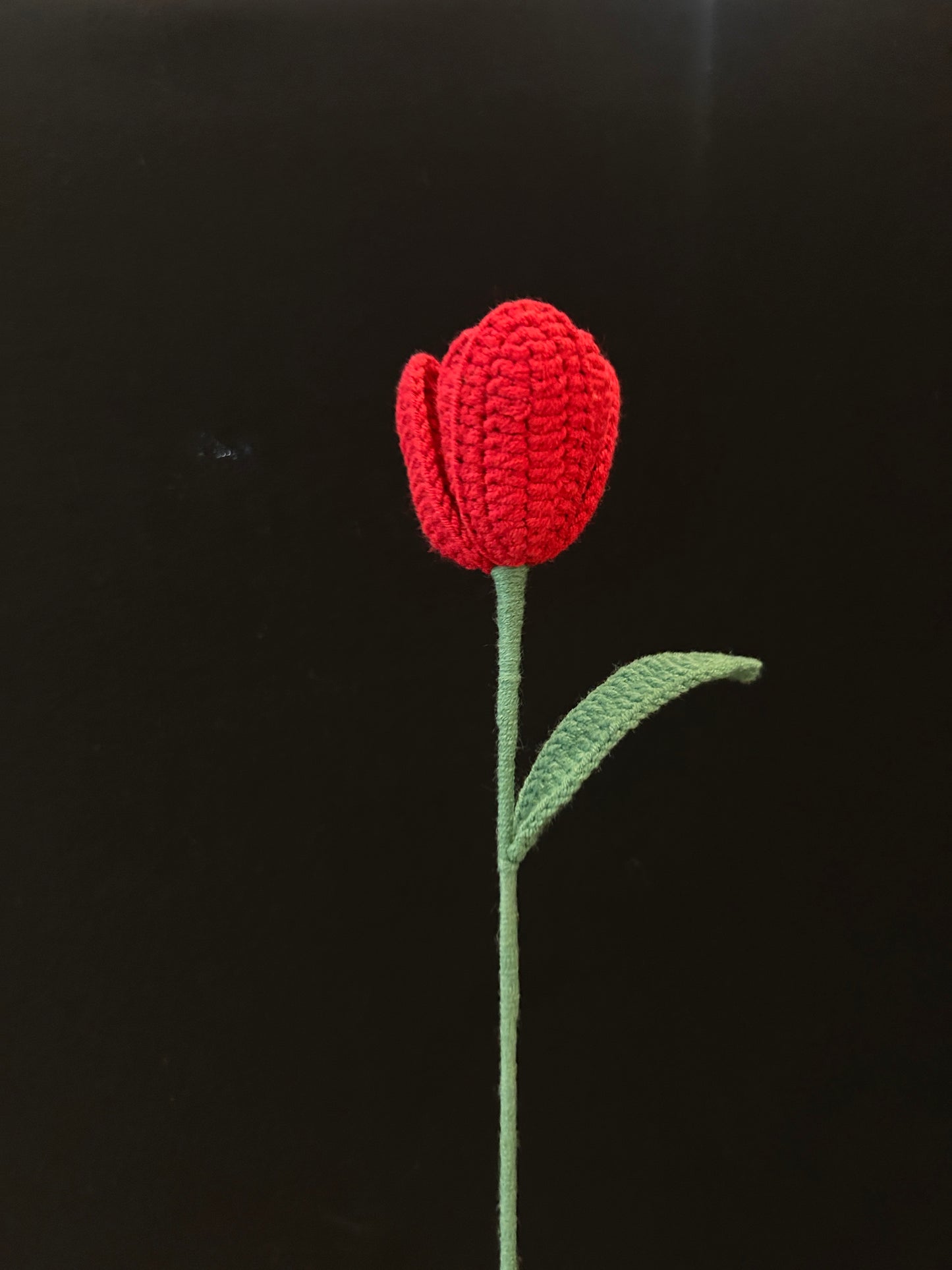 Tulip