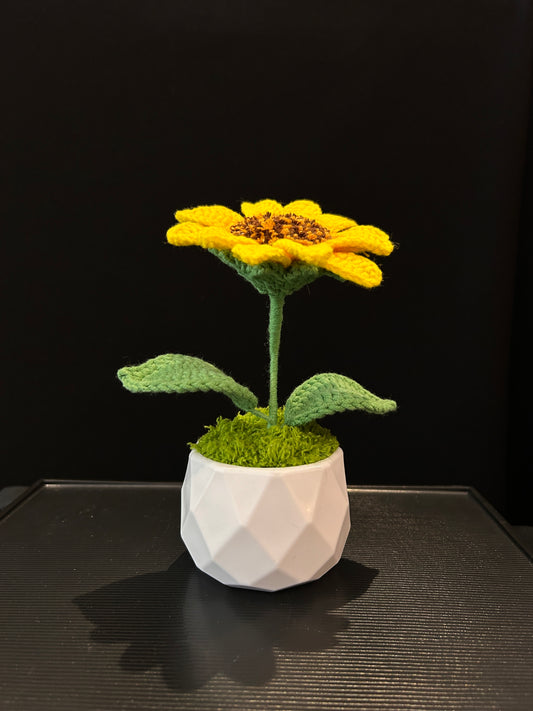 Sunflower Pot (Diamond-shaped Pot)
