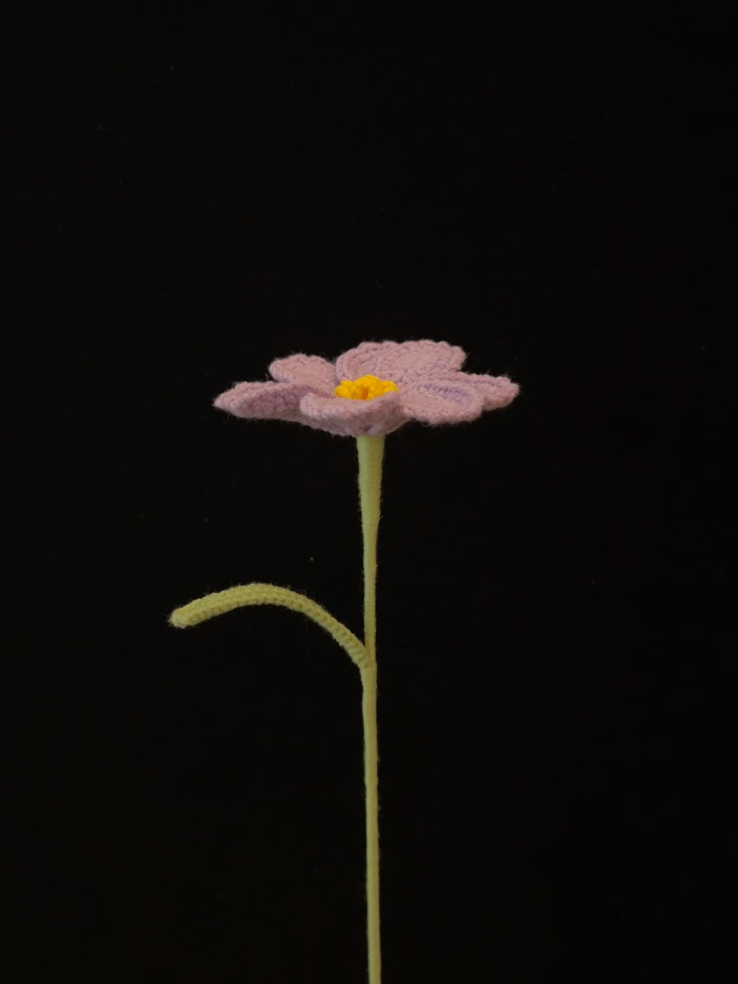 Galsang Flower