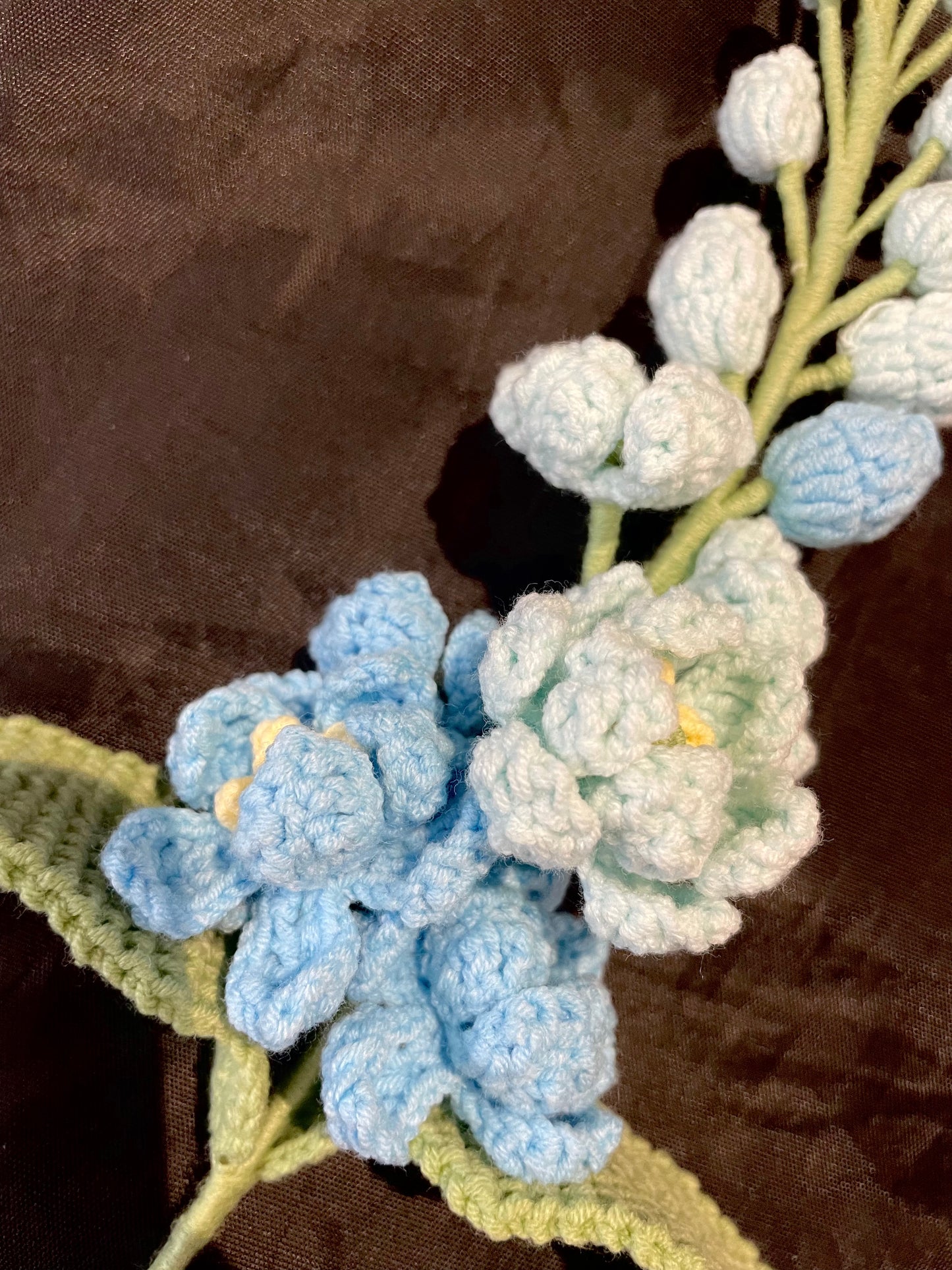 Delphinium