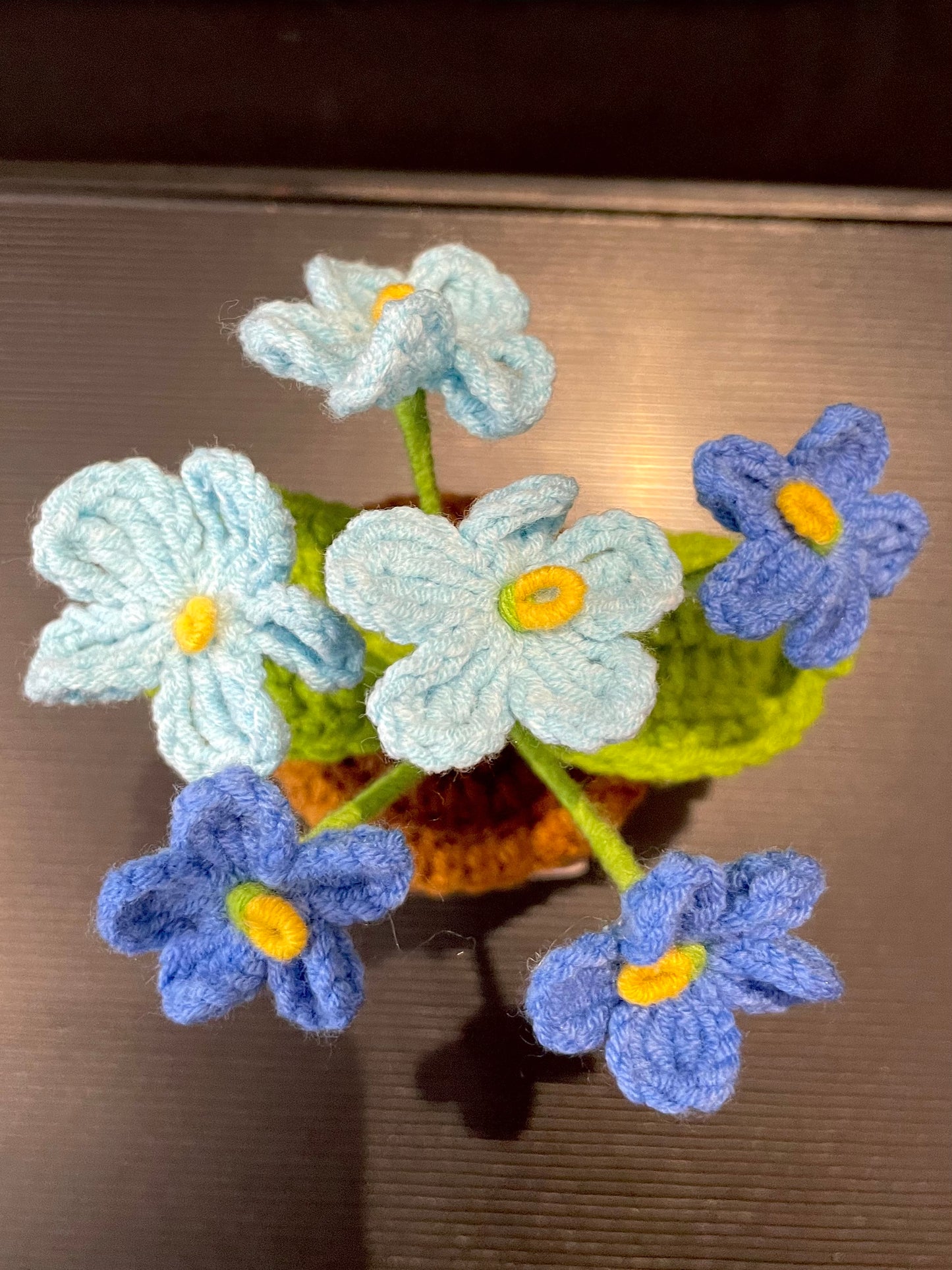 Emotional Support Plant (Foget-me-not)