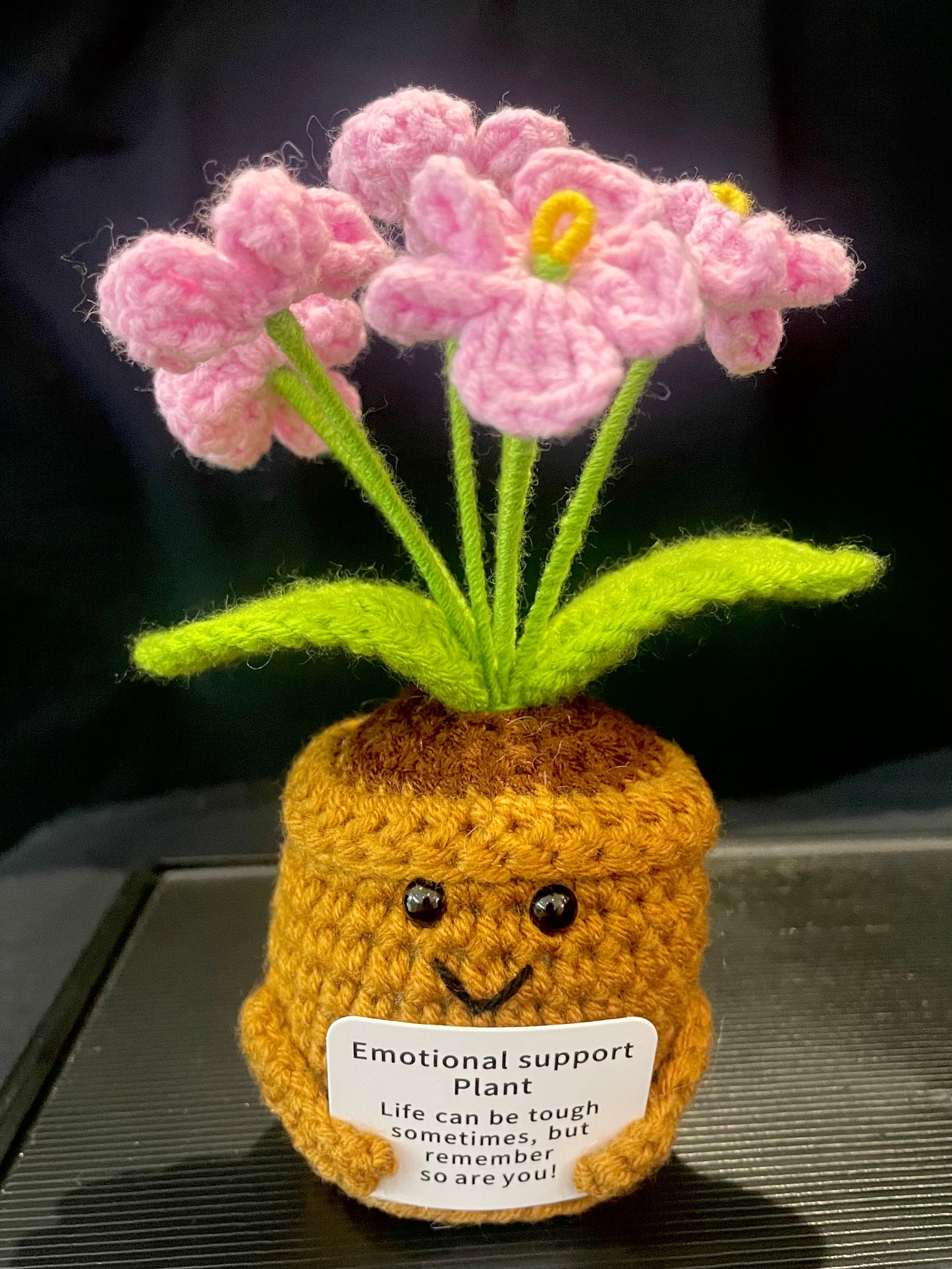 Emotional Support Plant (Foget-me-not)