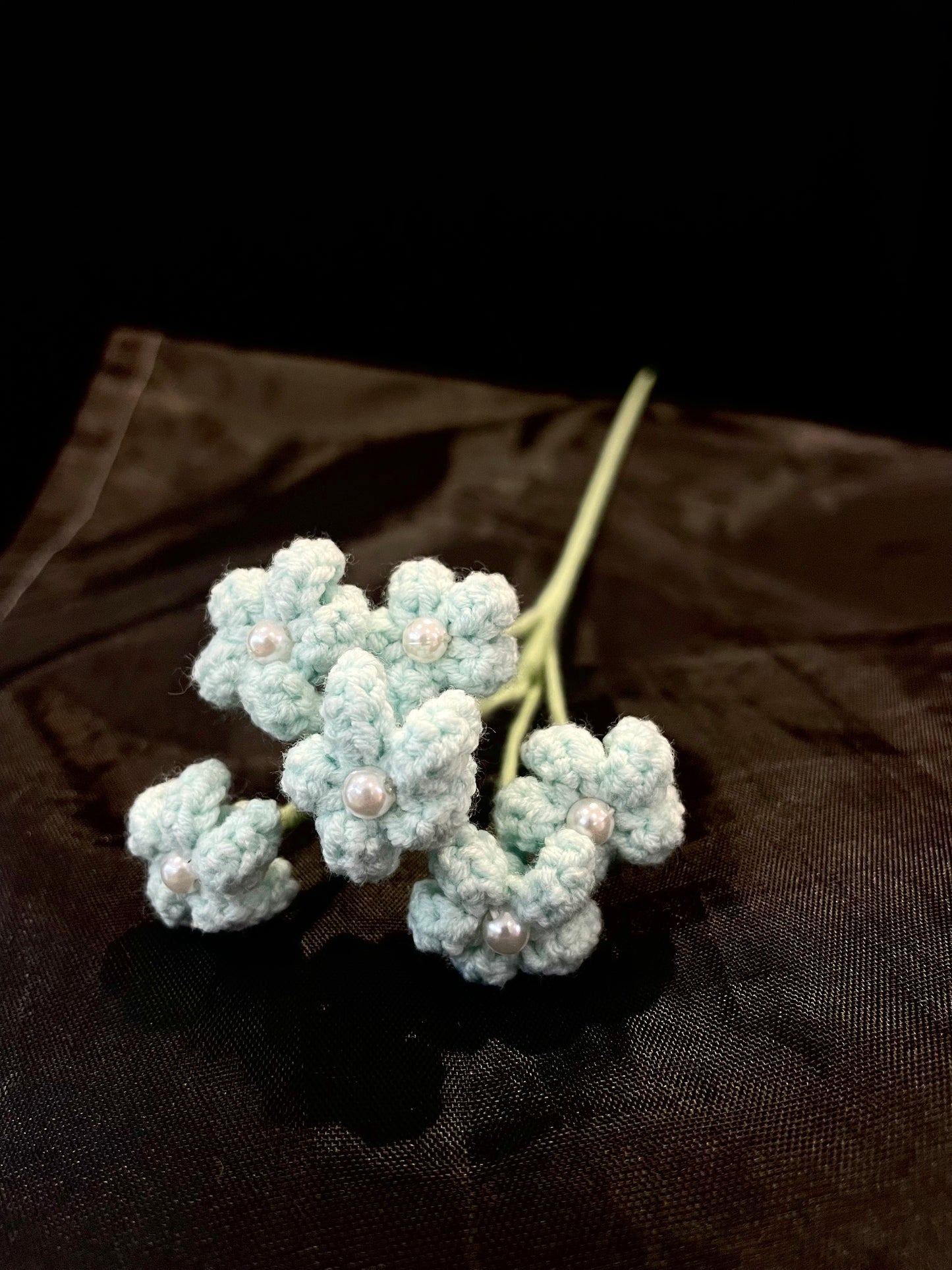 Baby’s Breath