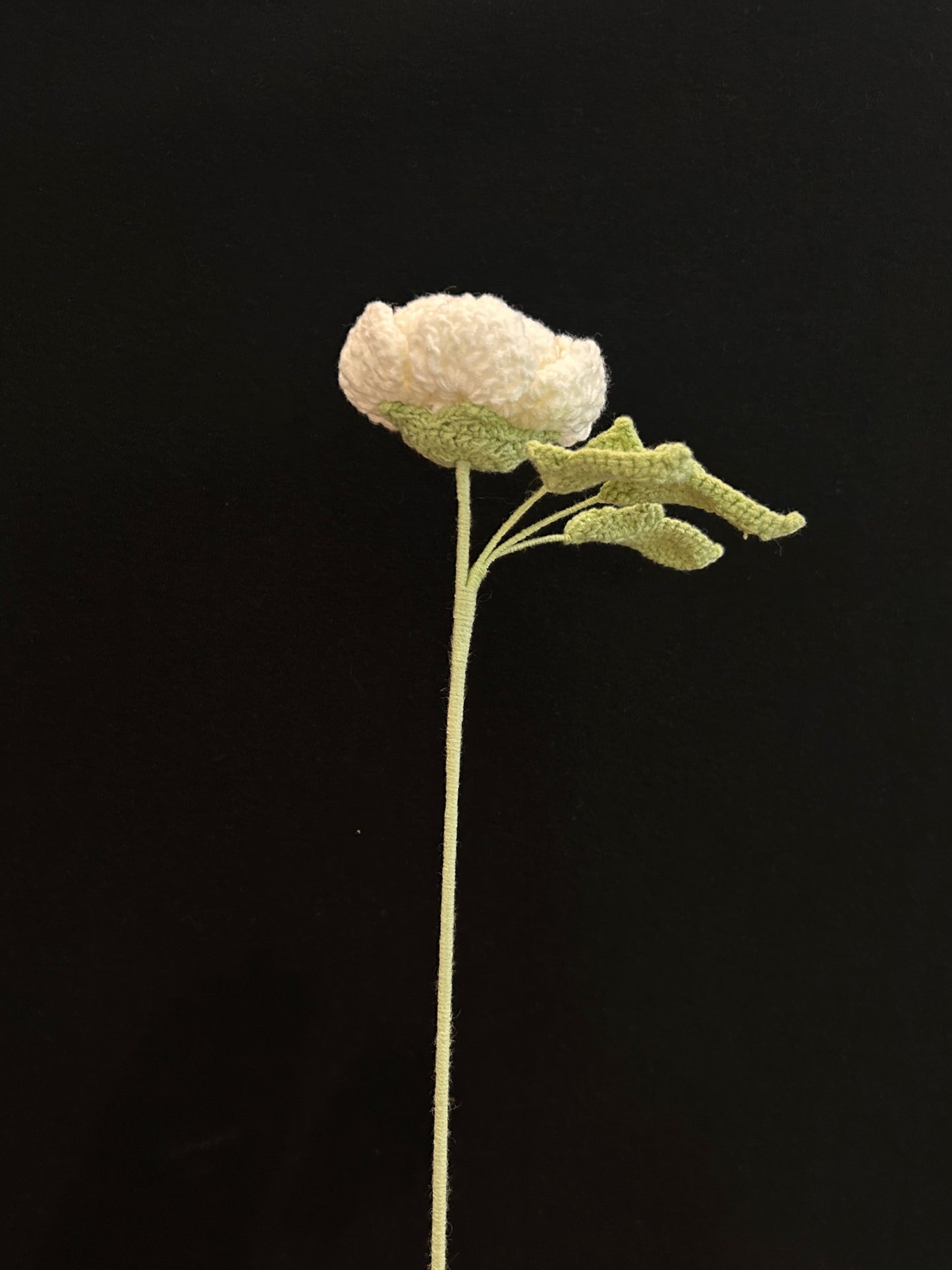 Peony