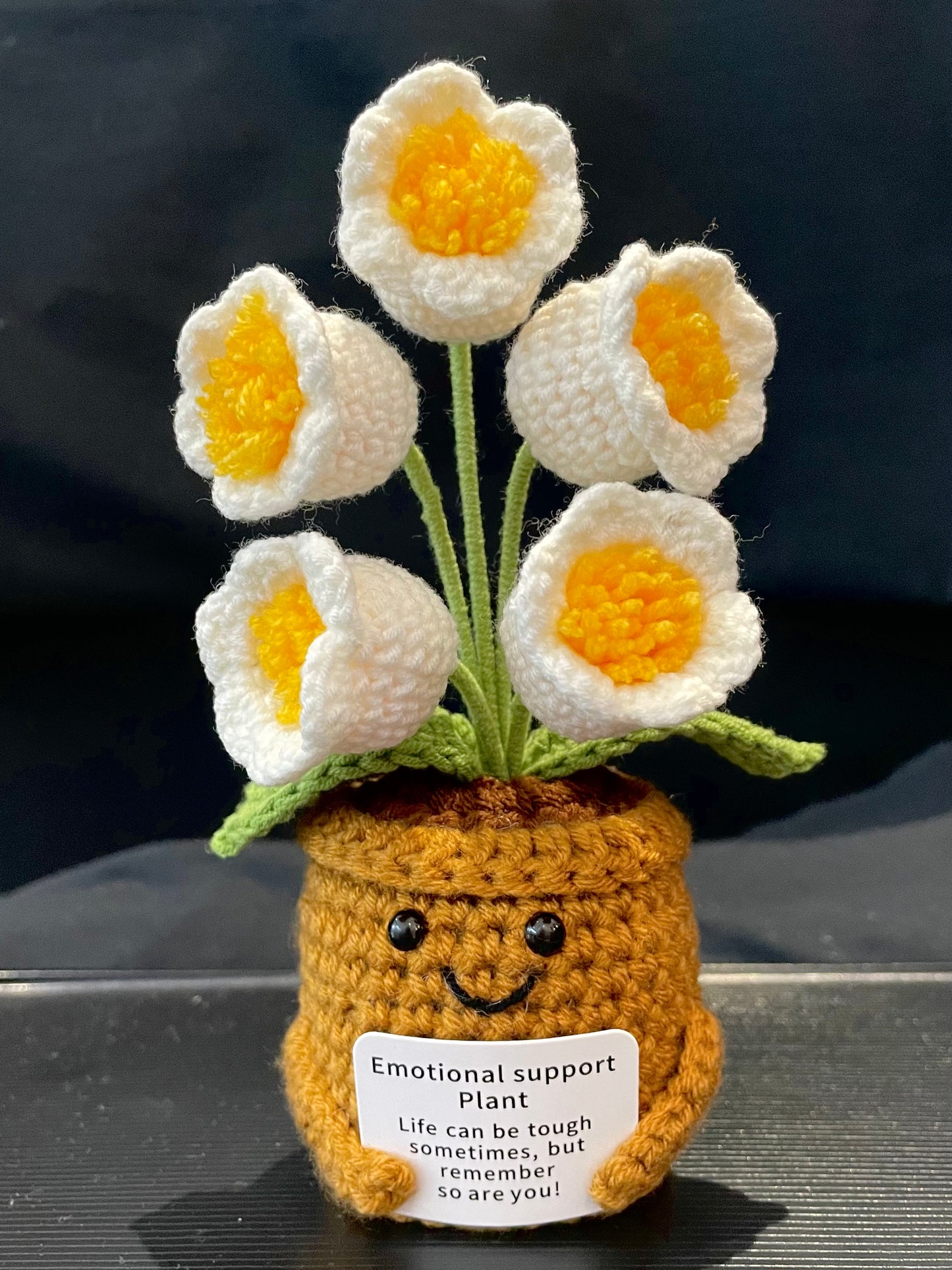 Emotional Support Plant (Lily of the Valley)