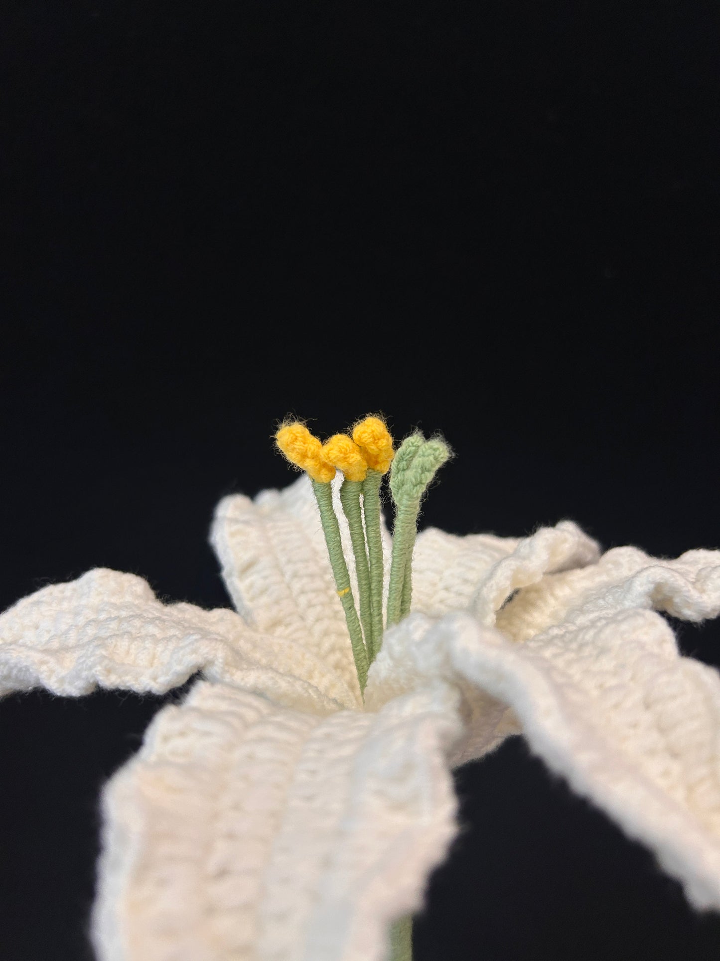Lily