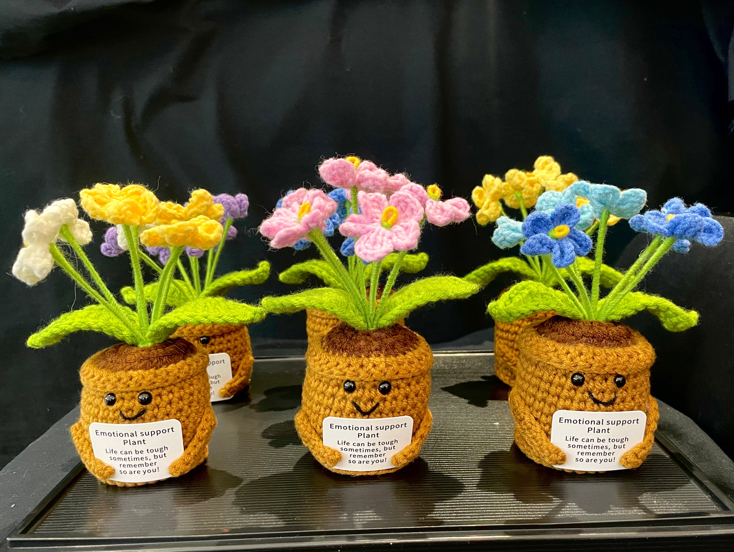 Emotional Support Plant (Foget-me-not)