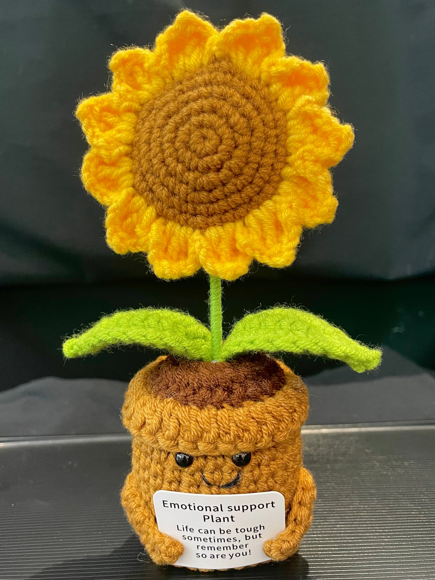 Emotional Support Plant (Sunflower)