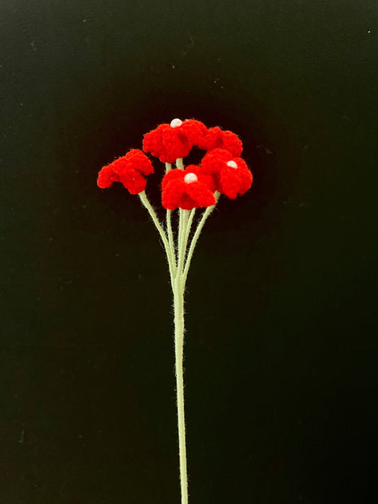 Baby’s Breath