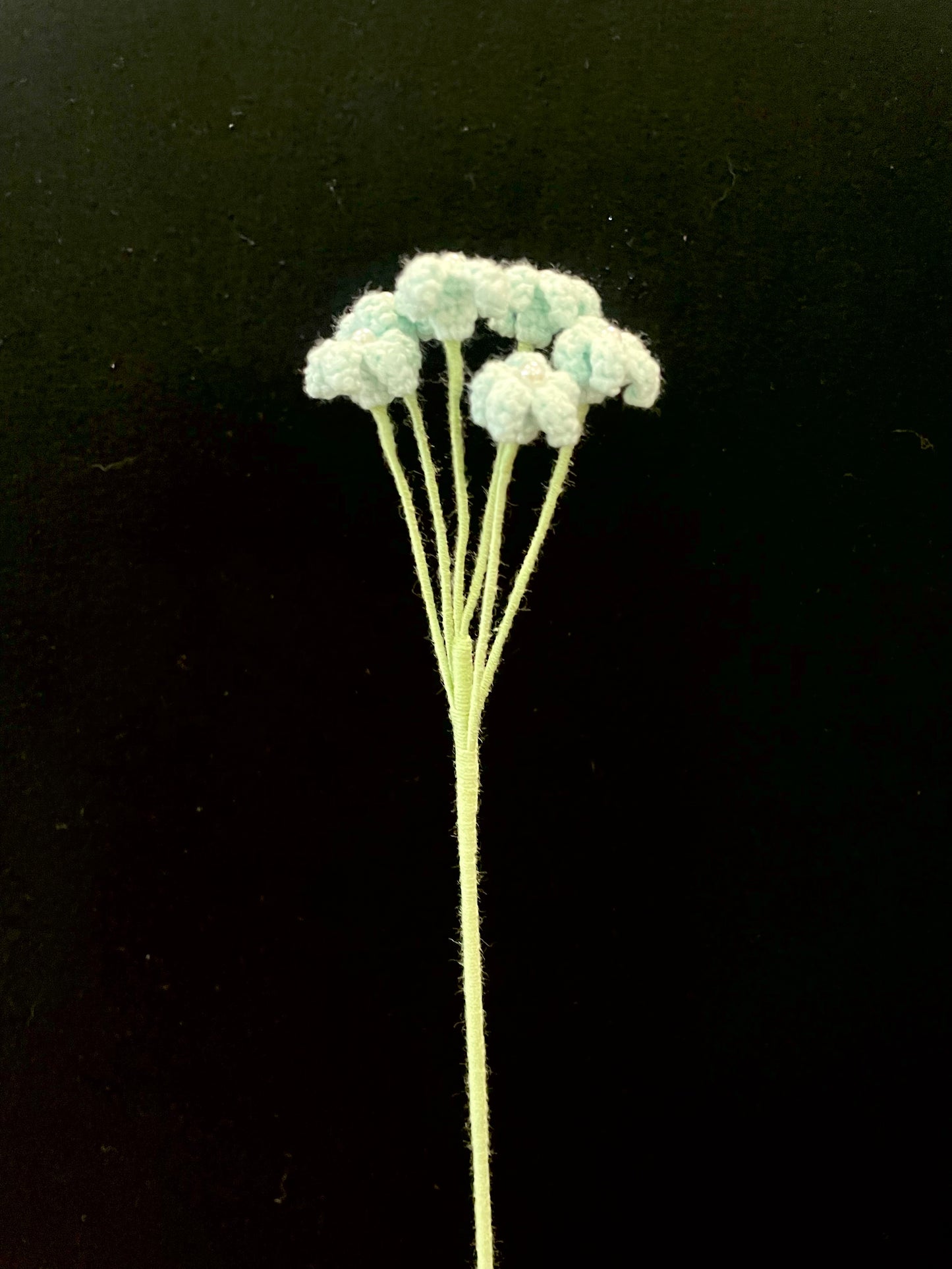 Baby’s Breath