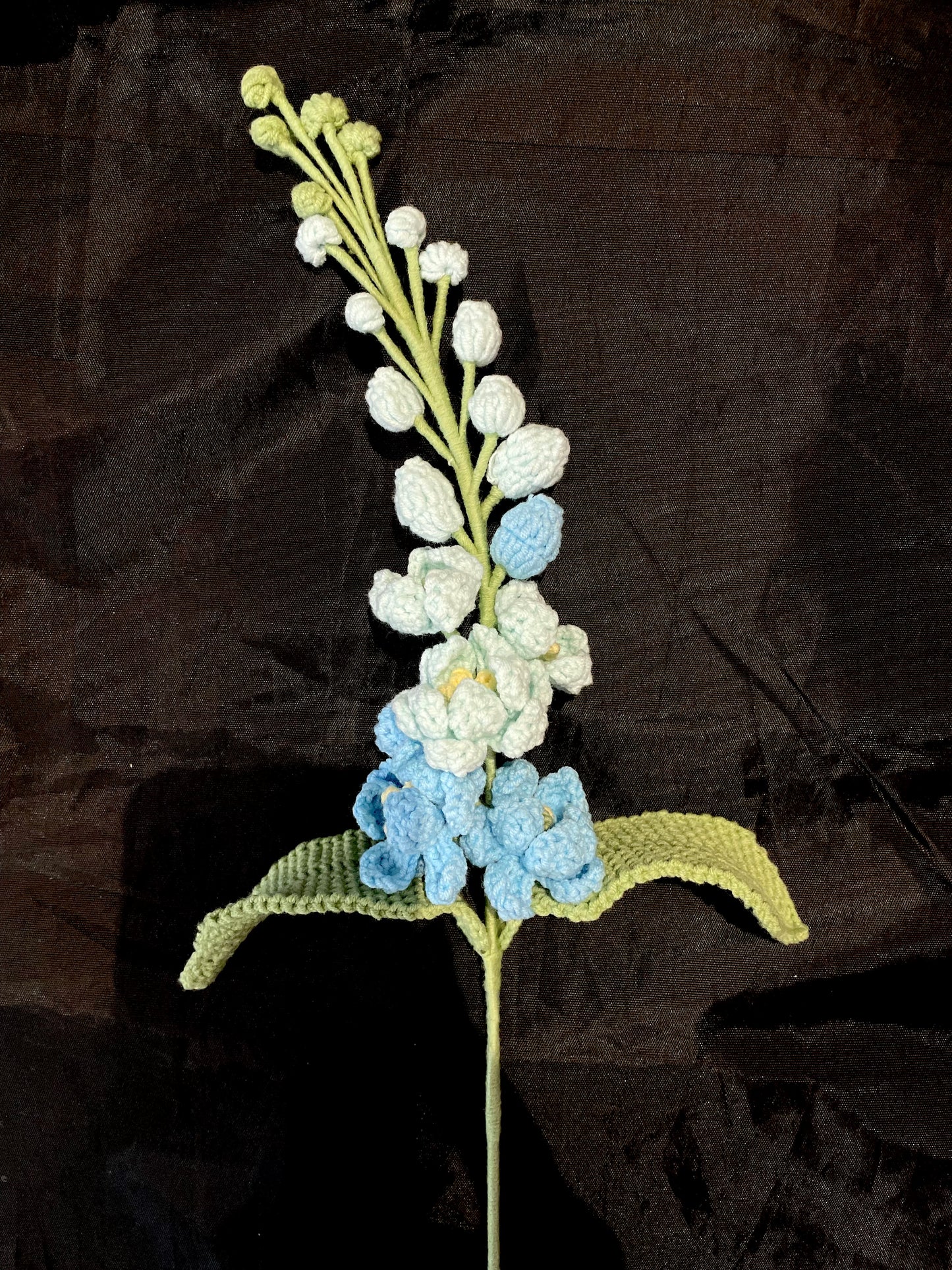 Delphinium