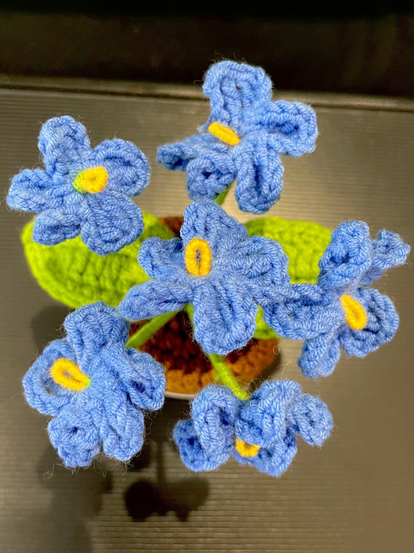 Emotional Support Plant (Foget-me-not)