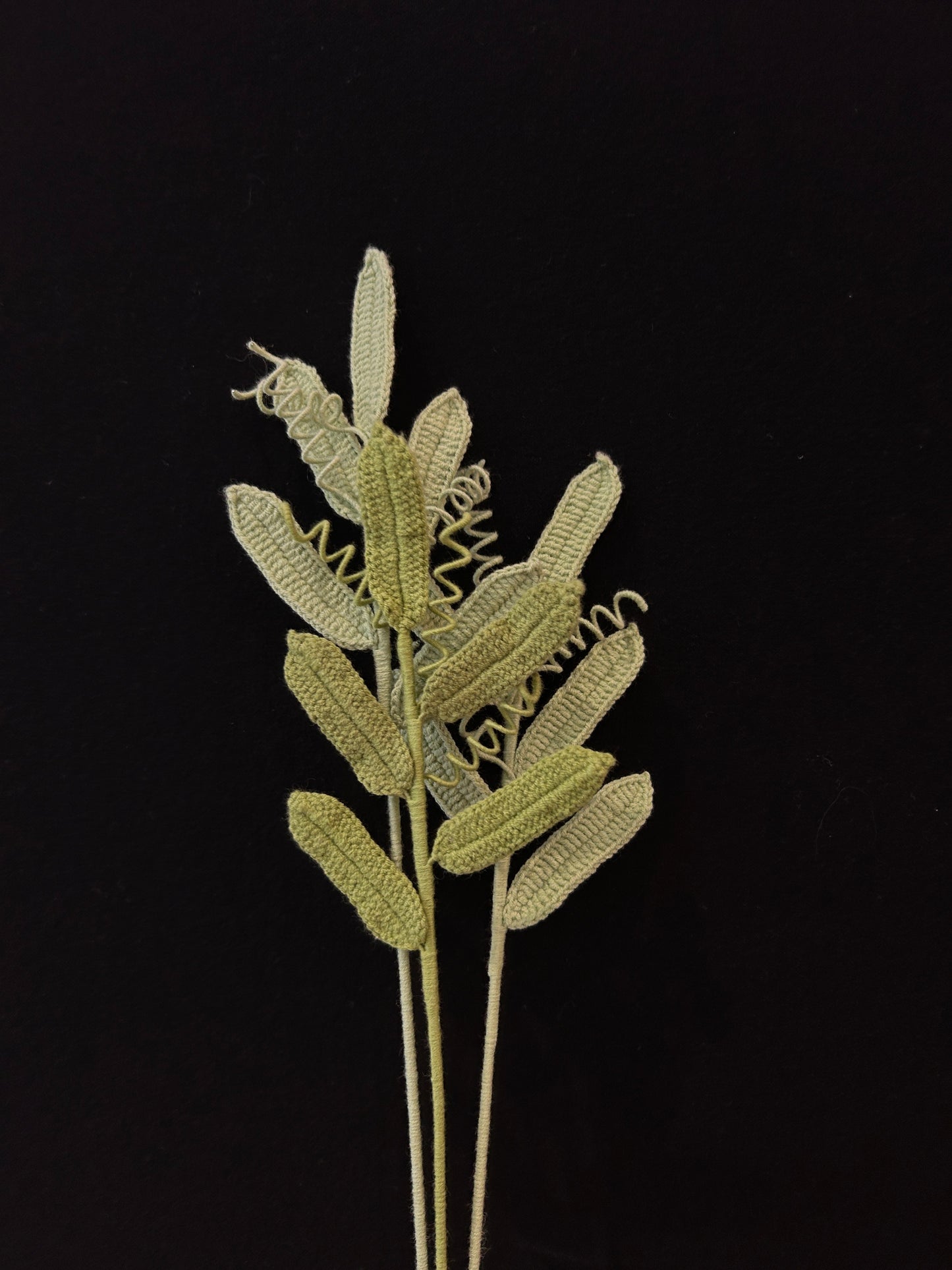 Leaf with Tendrils