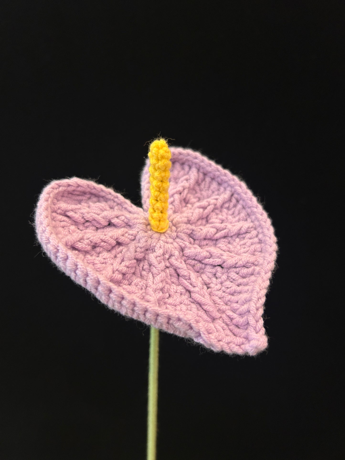 Anthurium