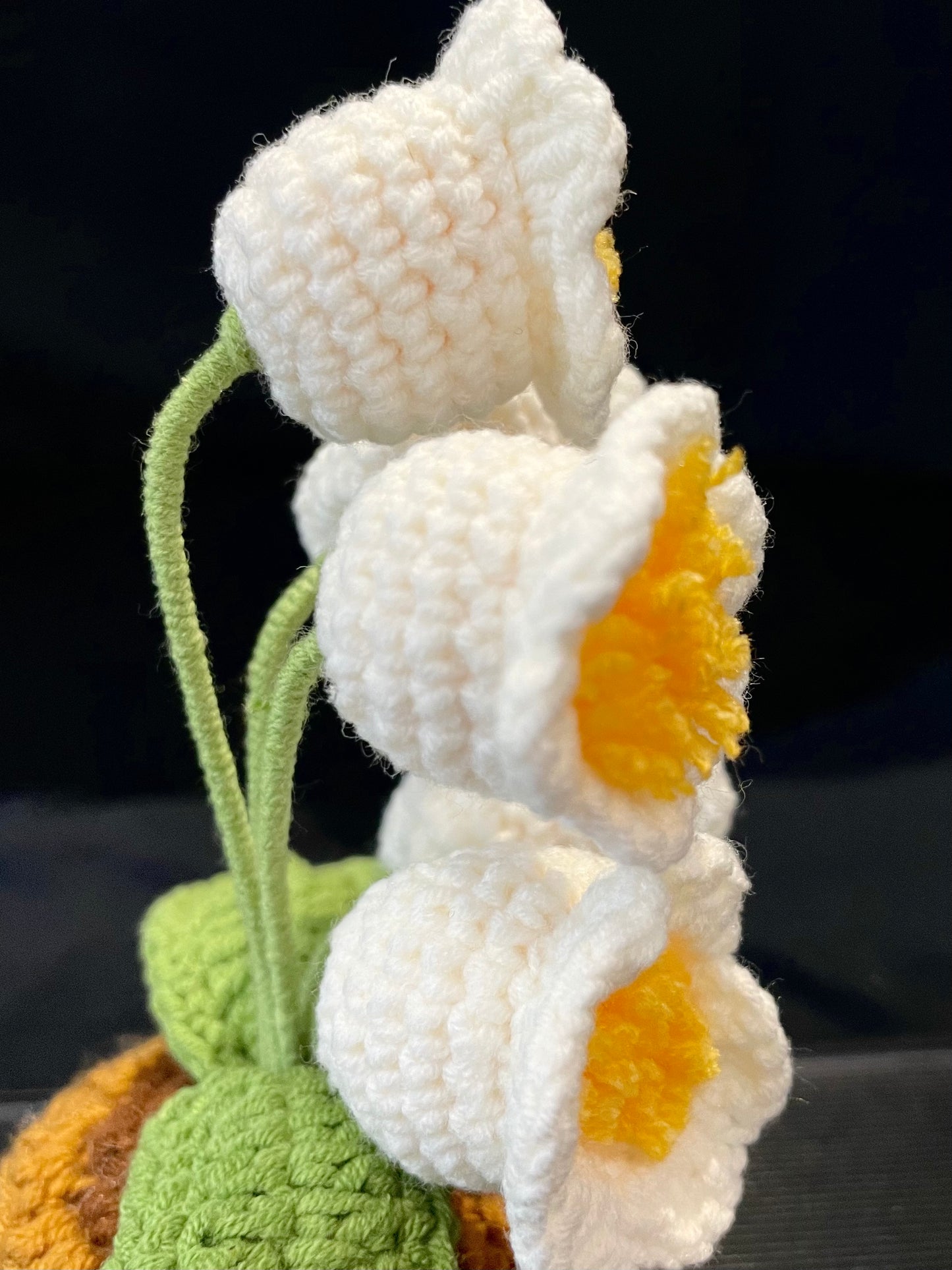 Emotional Support Plant (Lily of the Valley)