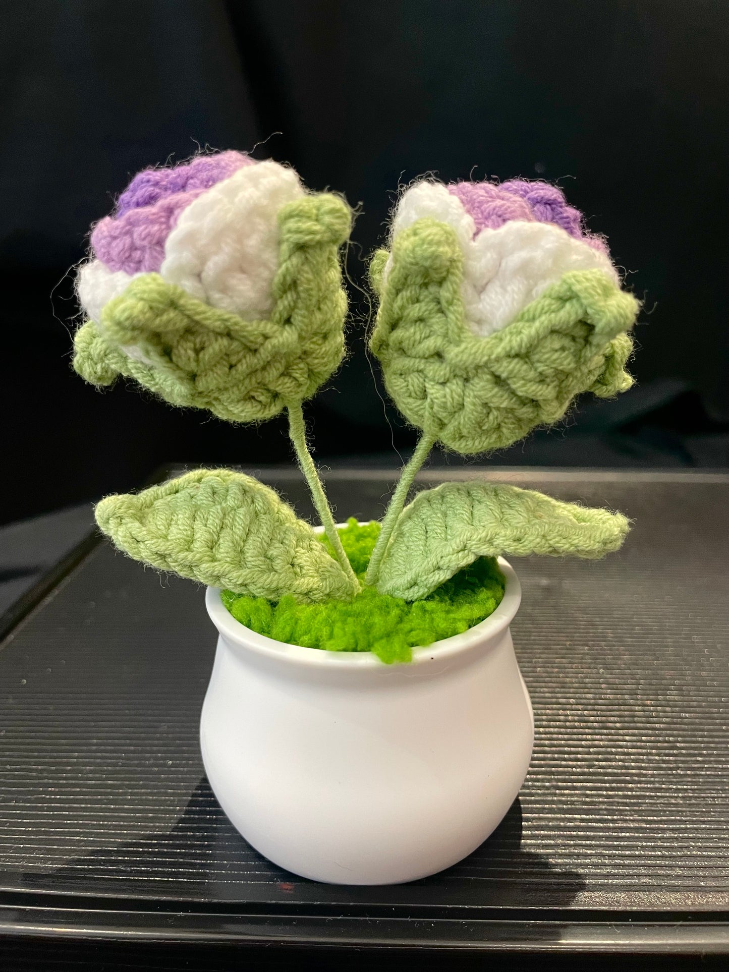 Rose in White Pot