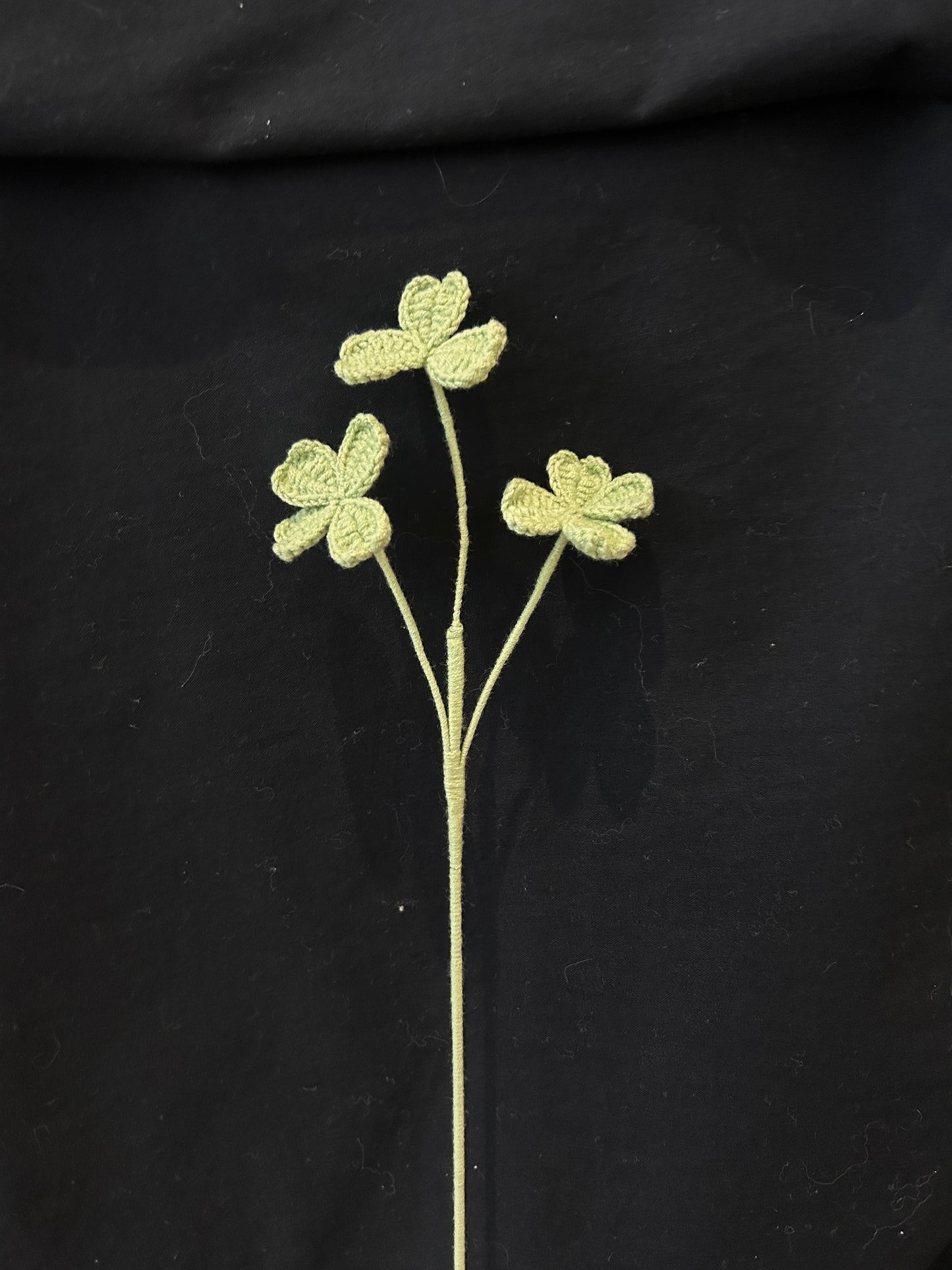 Clover Leaves