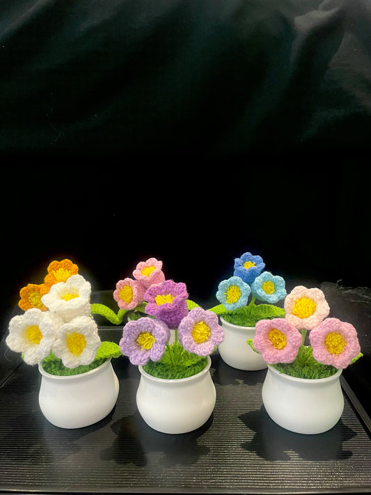 Lily of the Valley in White Pot