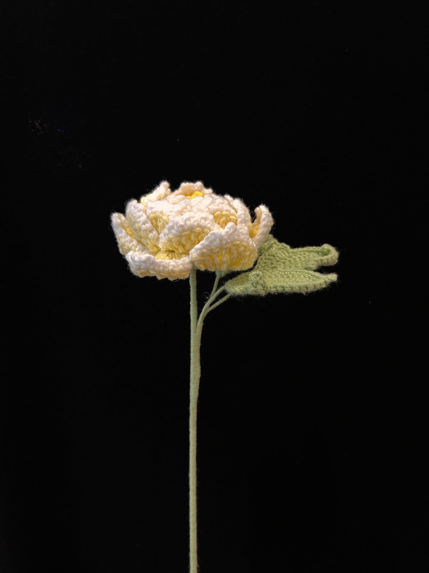 Peony