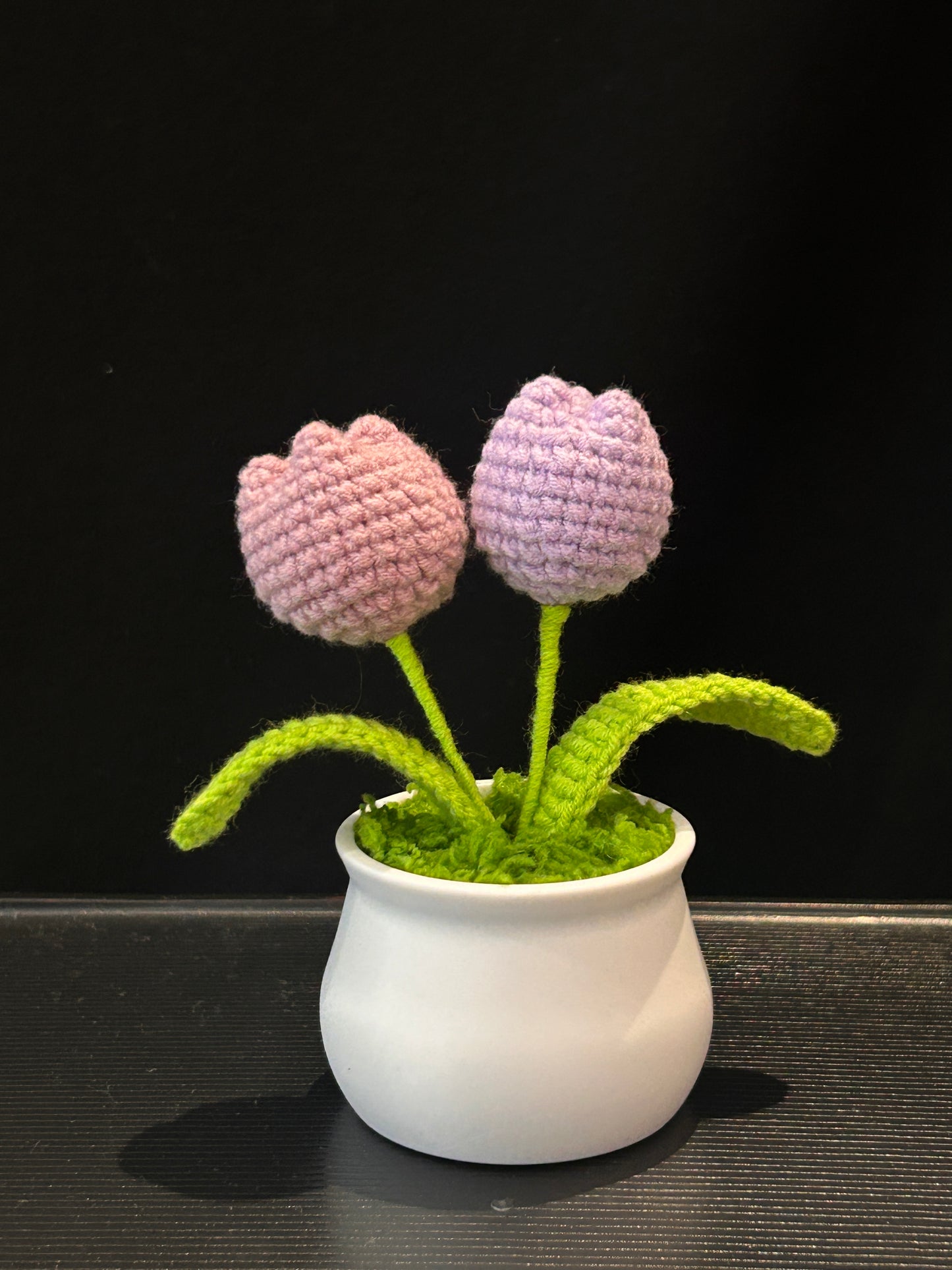 Tulip in White Pot