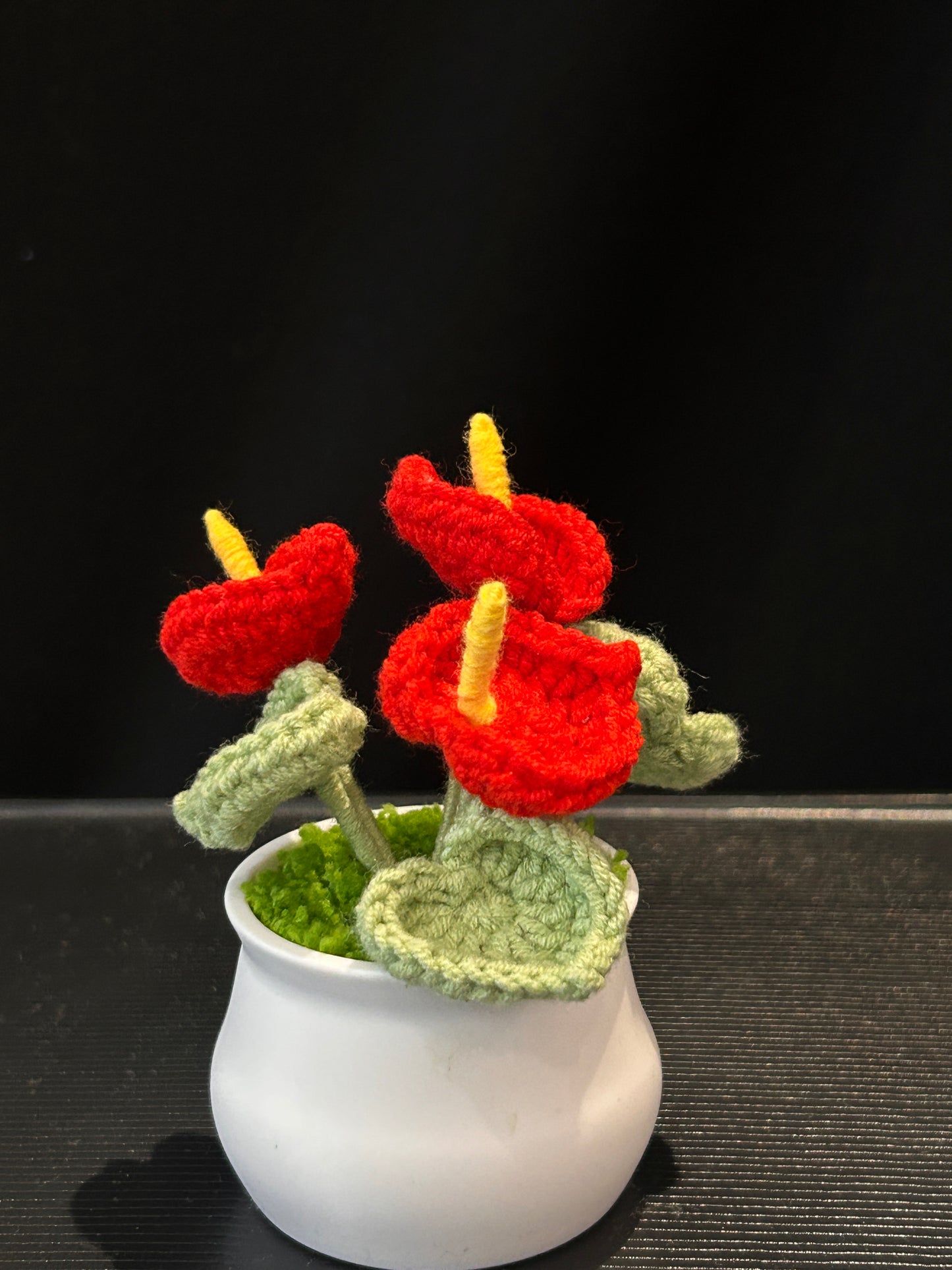 Anthurium in White Pot