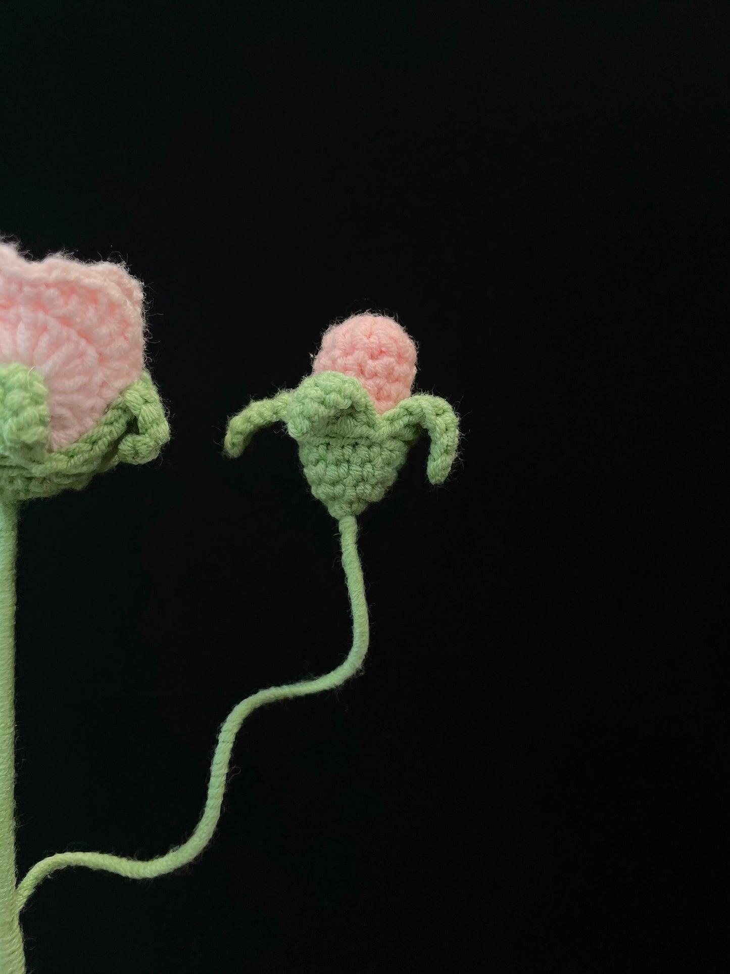Rose with Bud