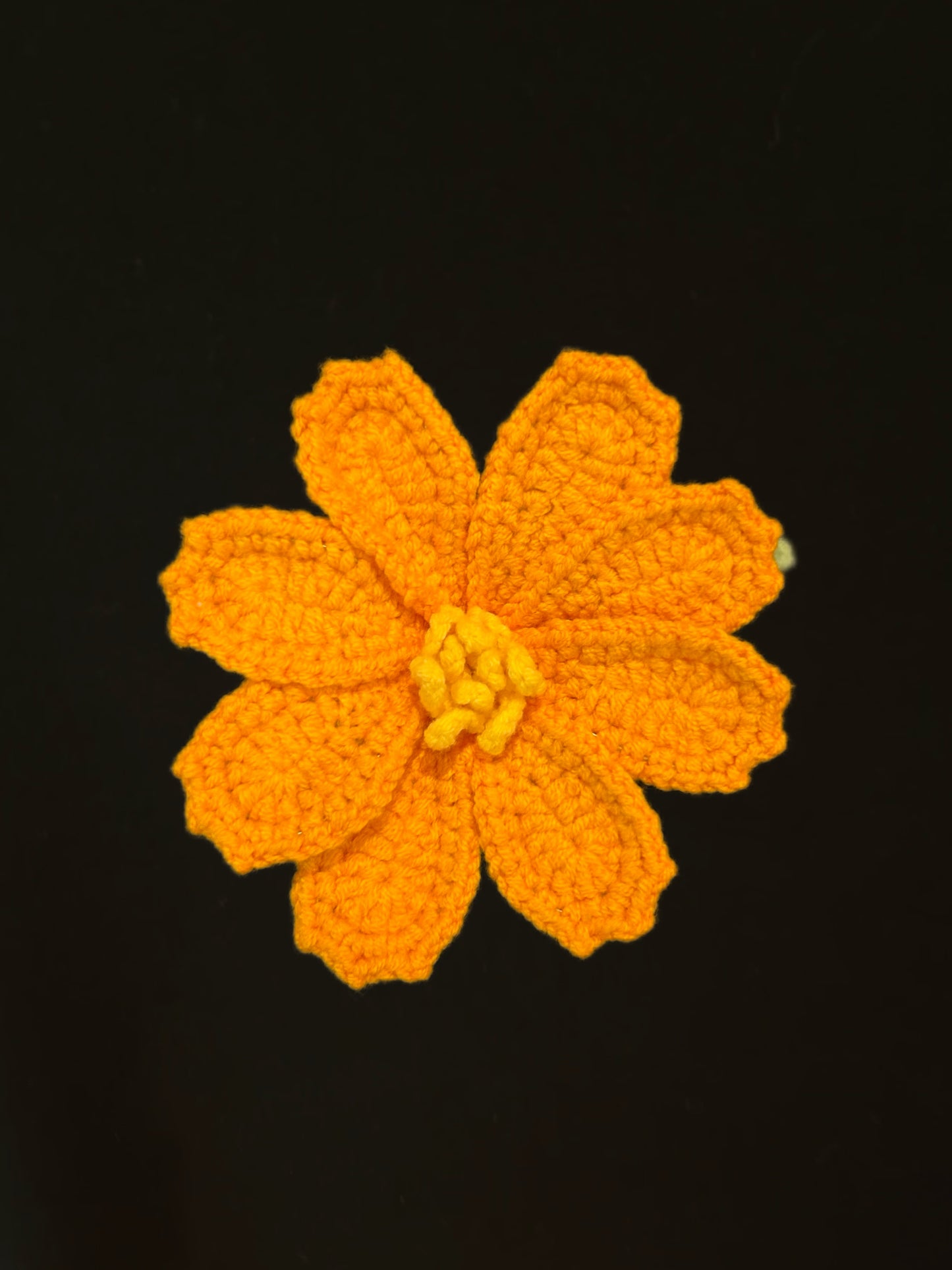 Galsang Flower