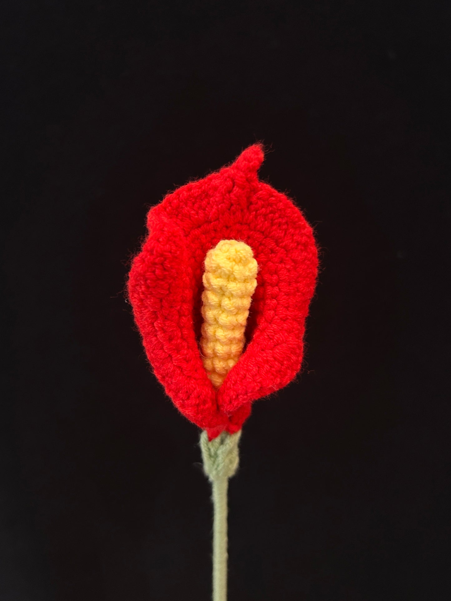 Calla Lily