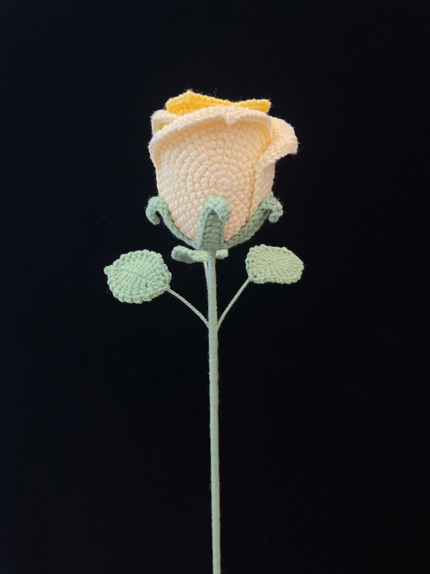 Cup-Shaped Rose