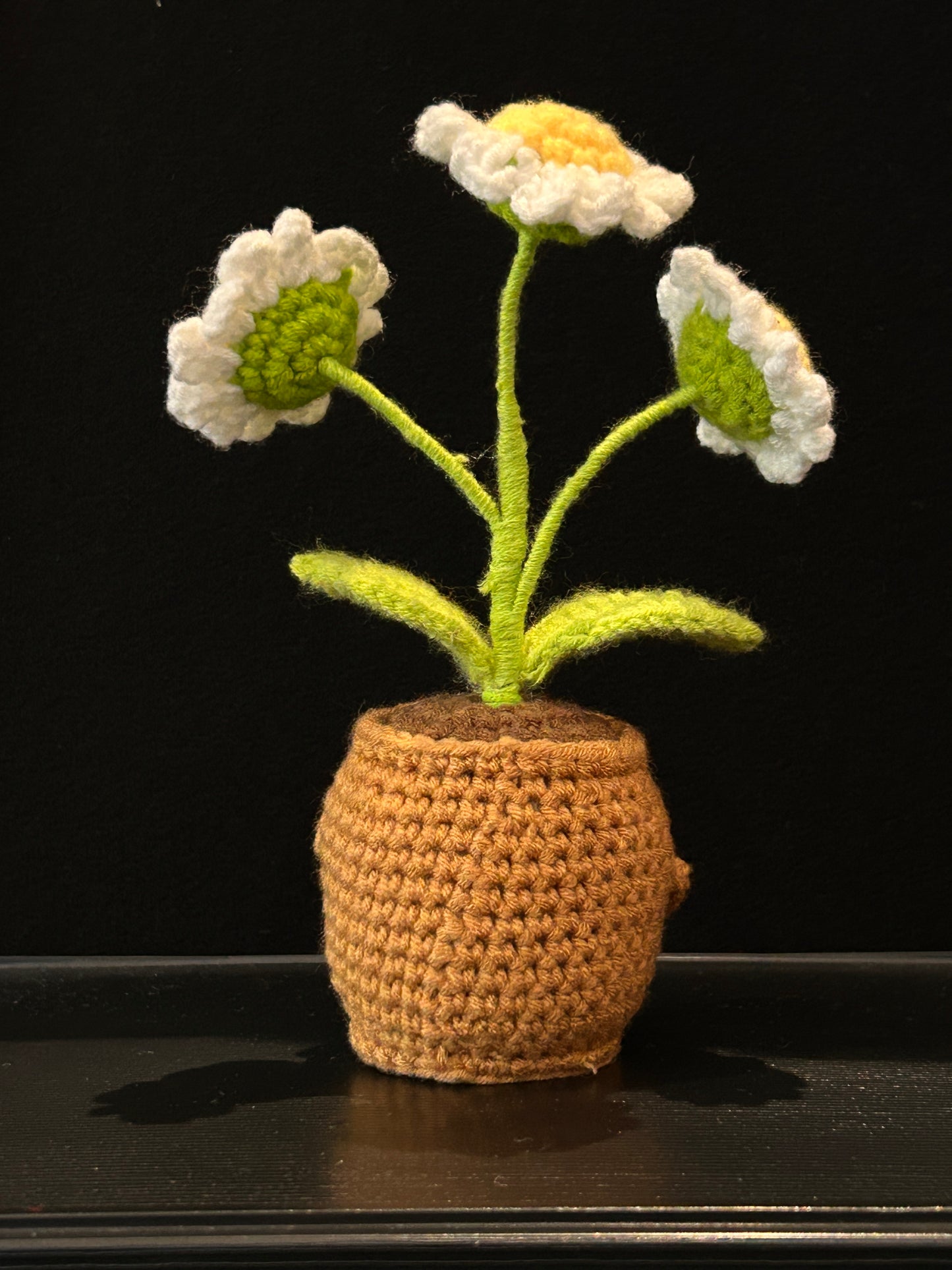 Emotional Support Plant (Three Daisies)