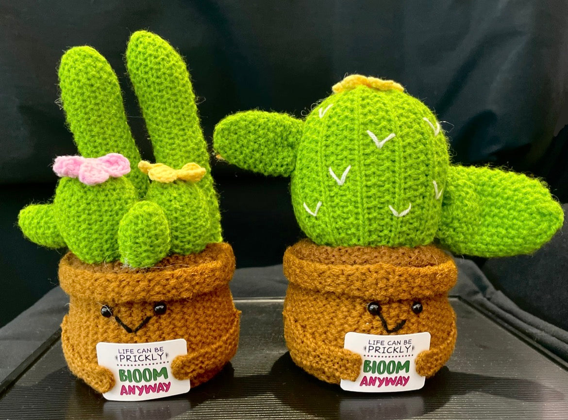 Emotional Support Plant (Cactus)