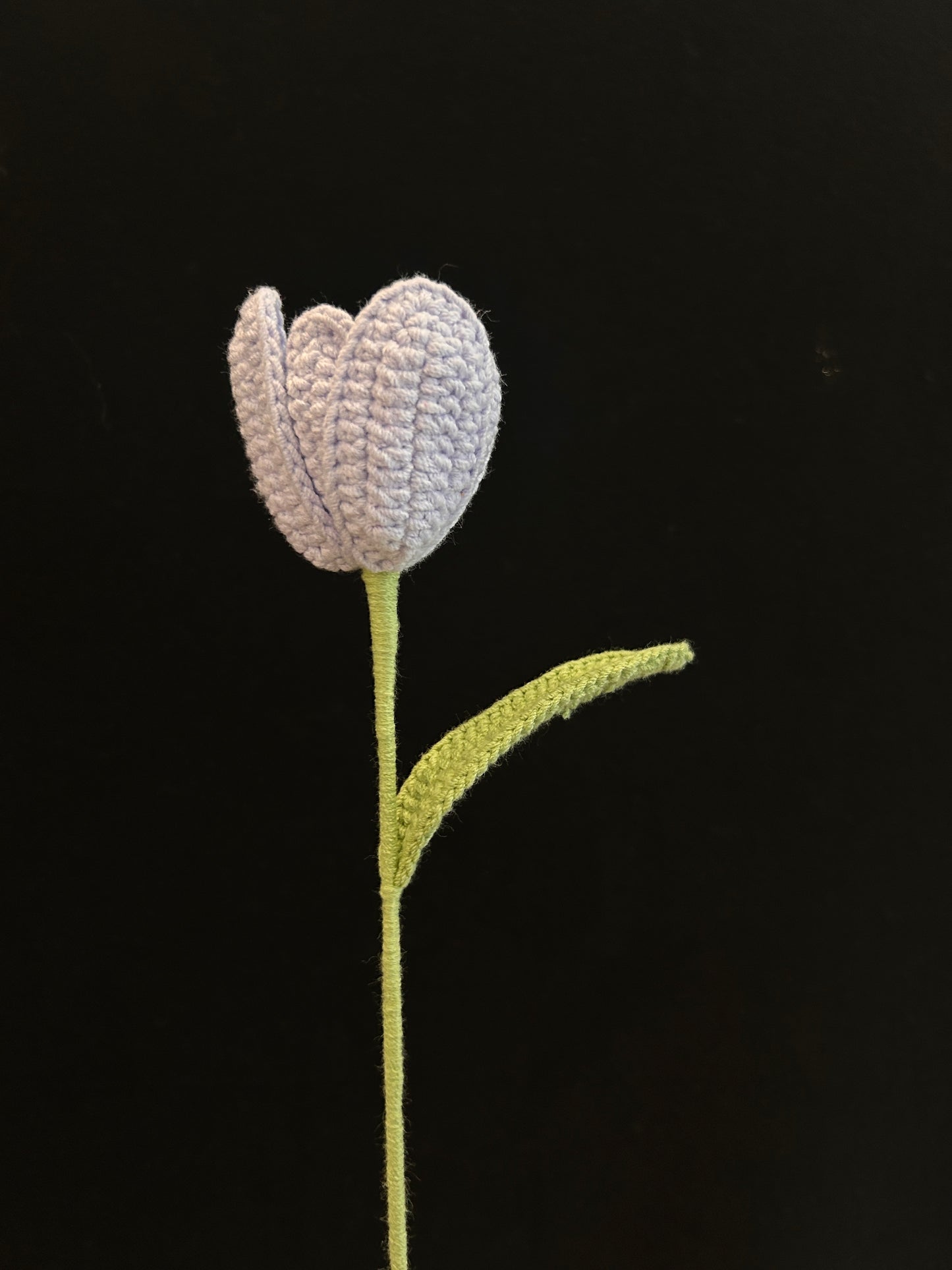 Tulip
