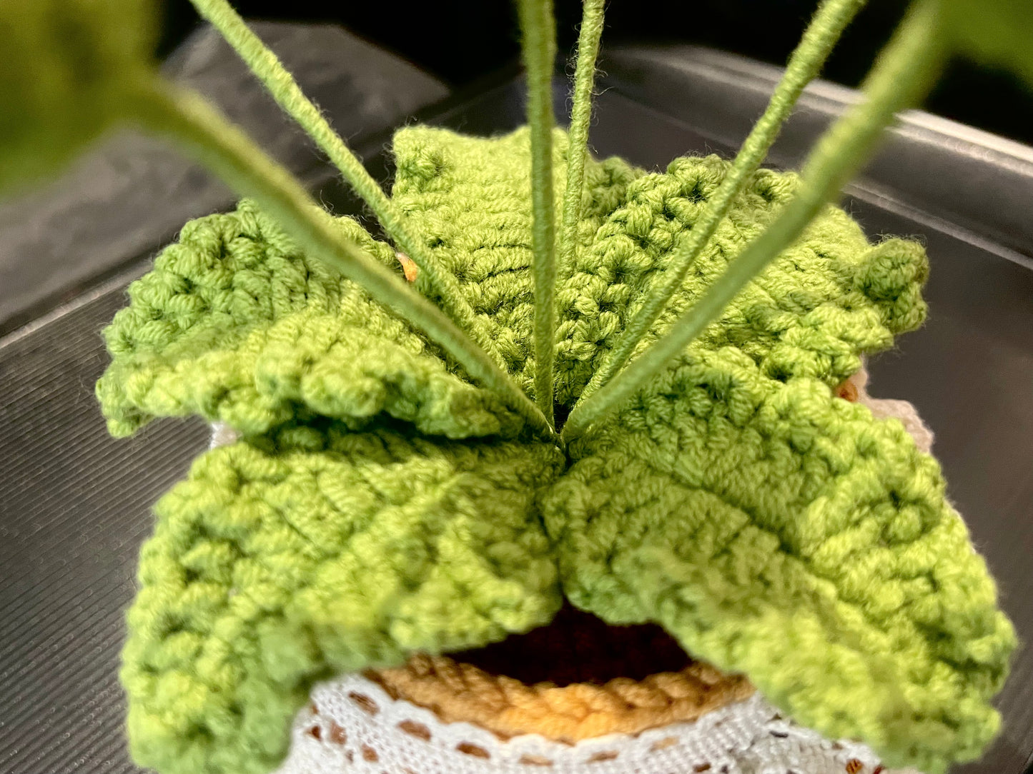 Rose Pot