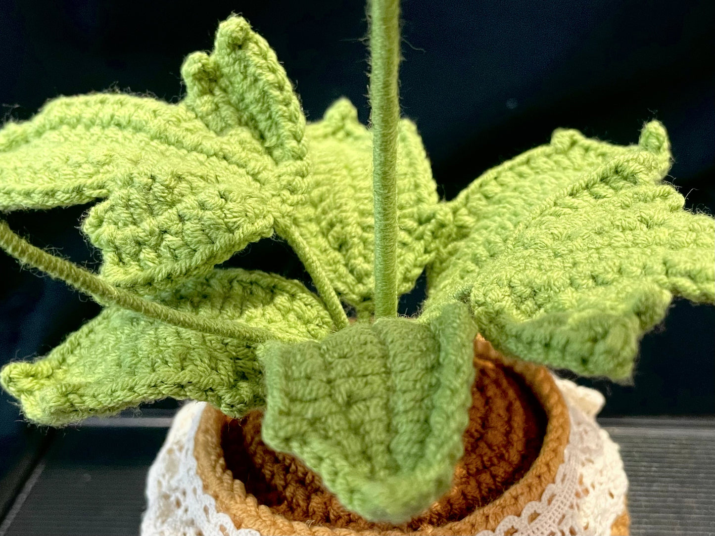Peony Pot