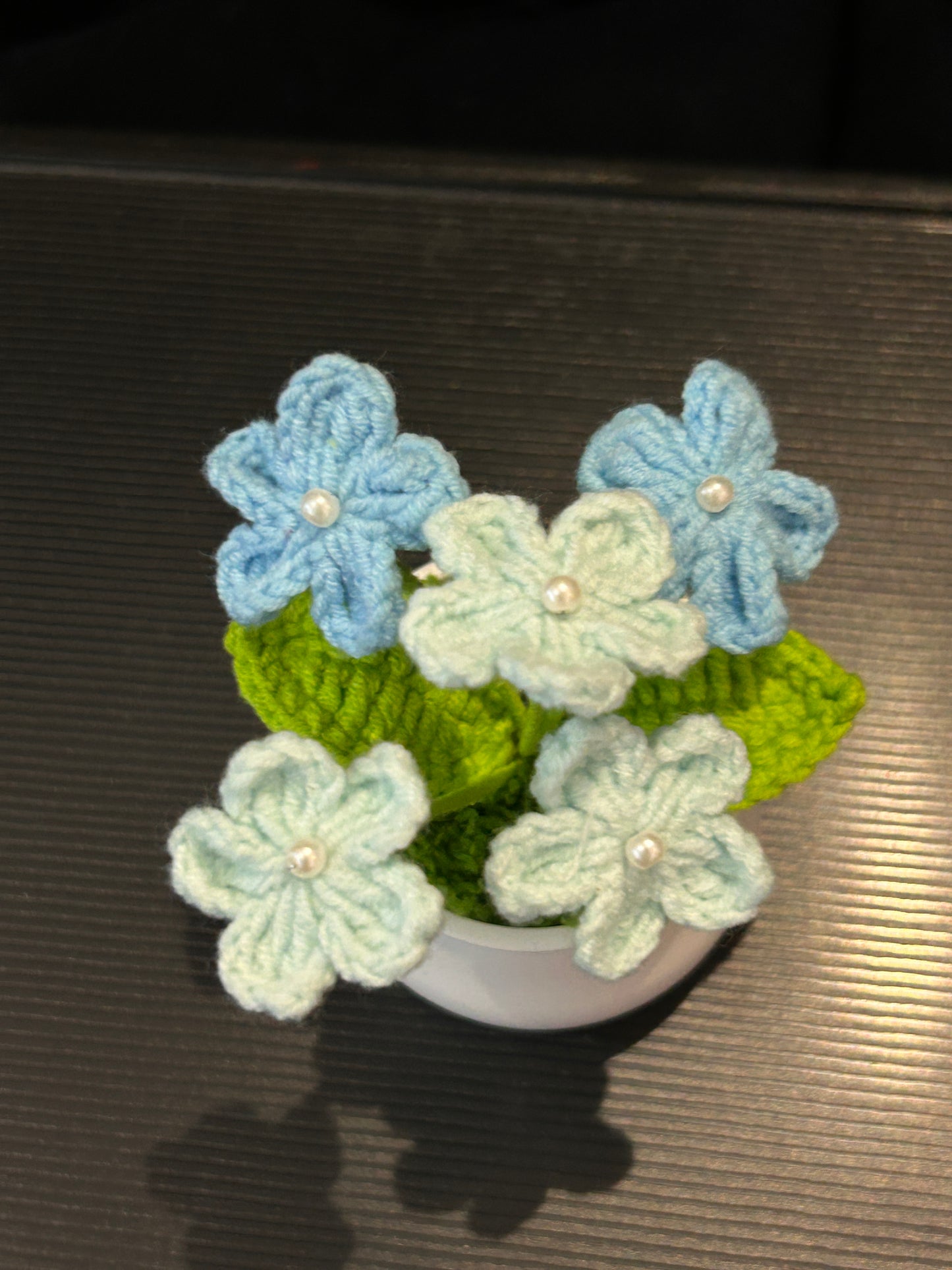 Forget-me-not in White pot