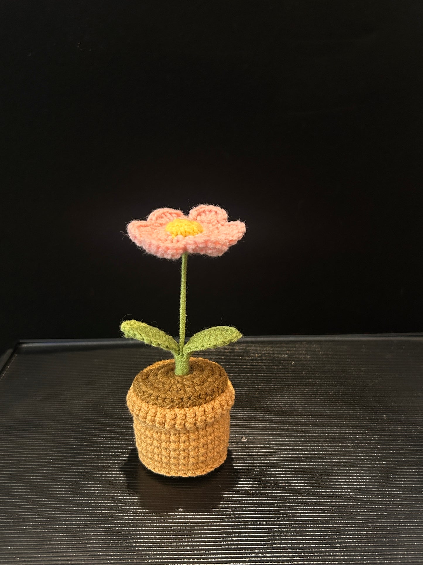 Daisy Pot (Single)