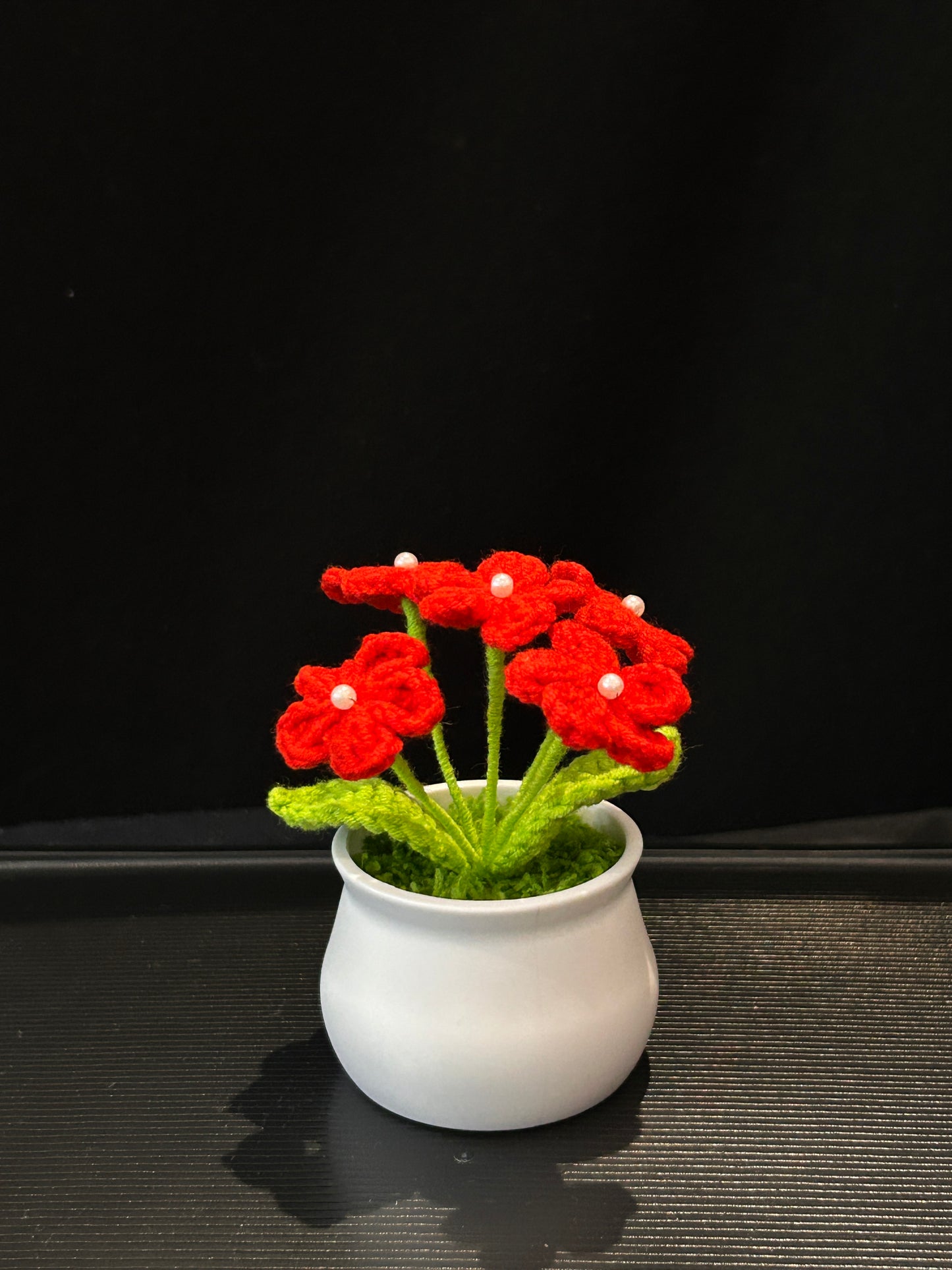 Forget-me-not in White pot
