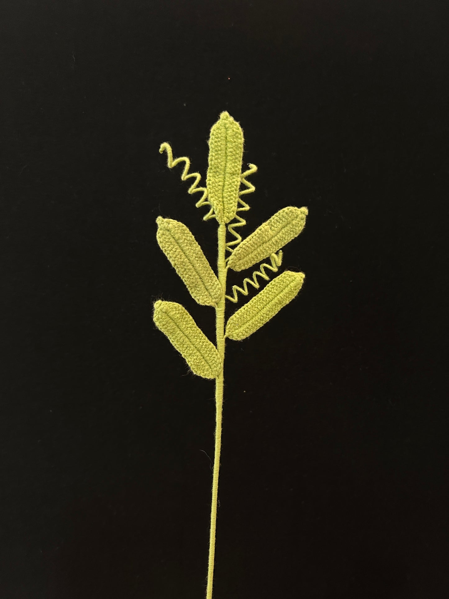 Leaf with Tendrils