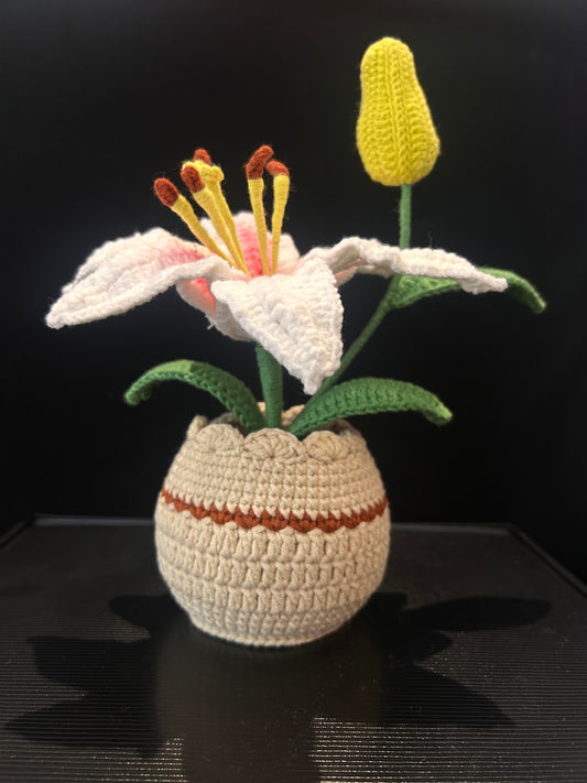 Lily Pot