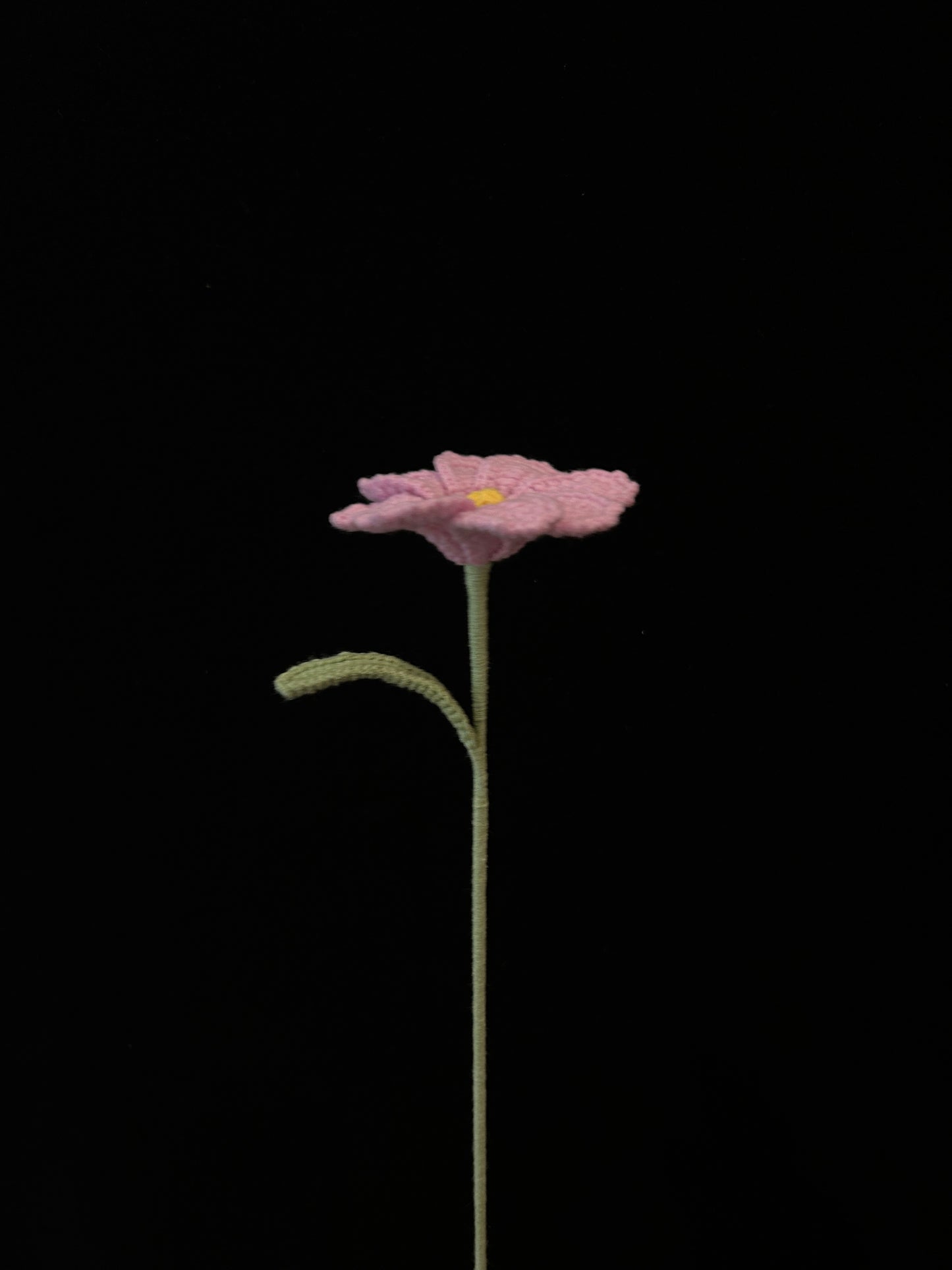 Galsang Flower