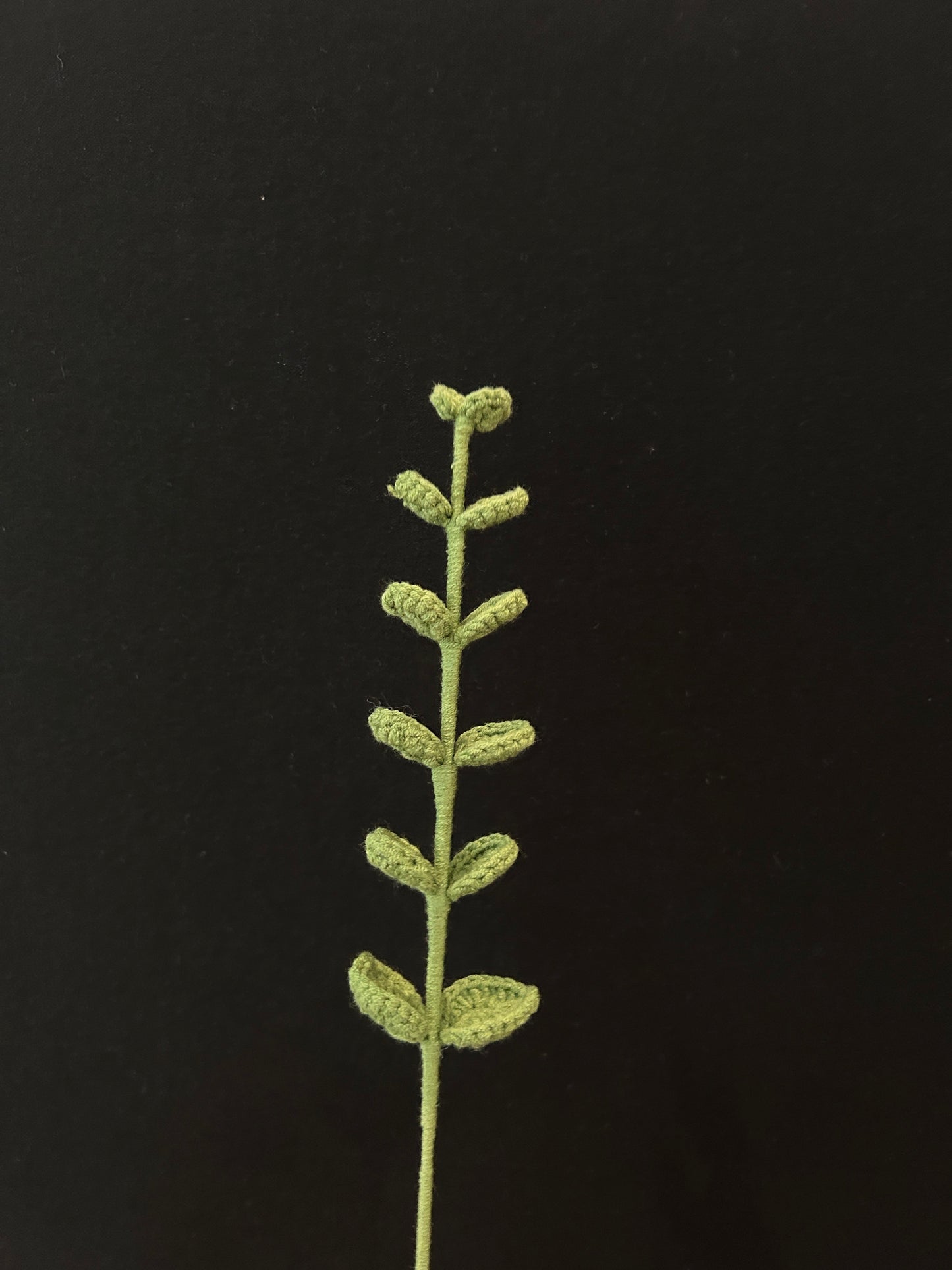 Handmade Crochet Long Stem Leaves —— Simple Alternate Leaves