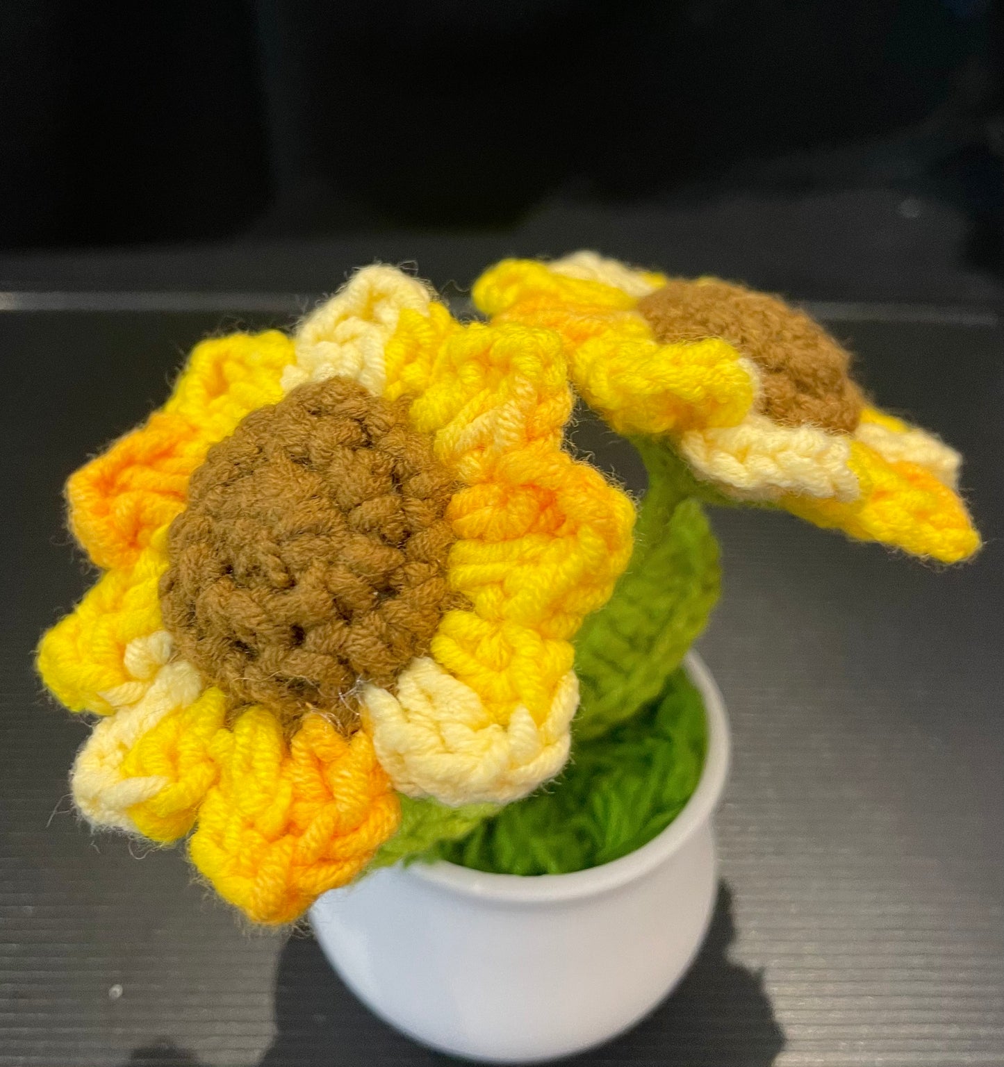 Double Sunflowers in White Pot