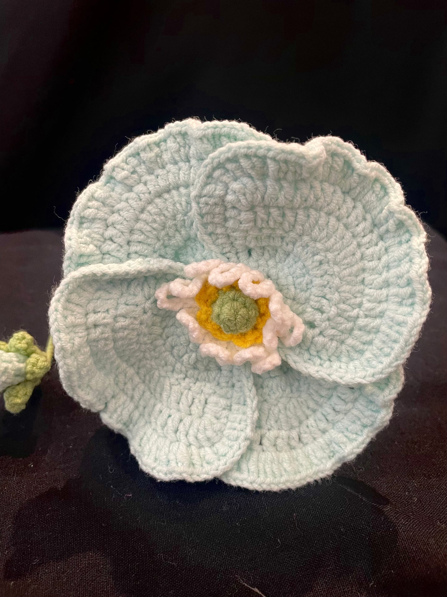 Poppy