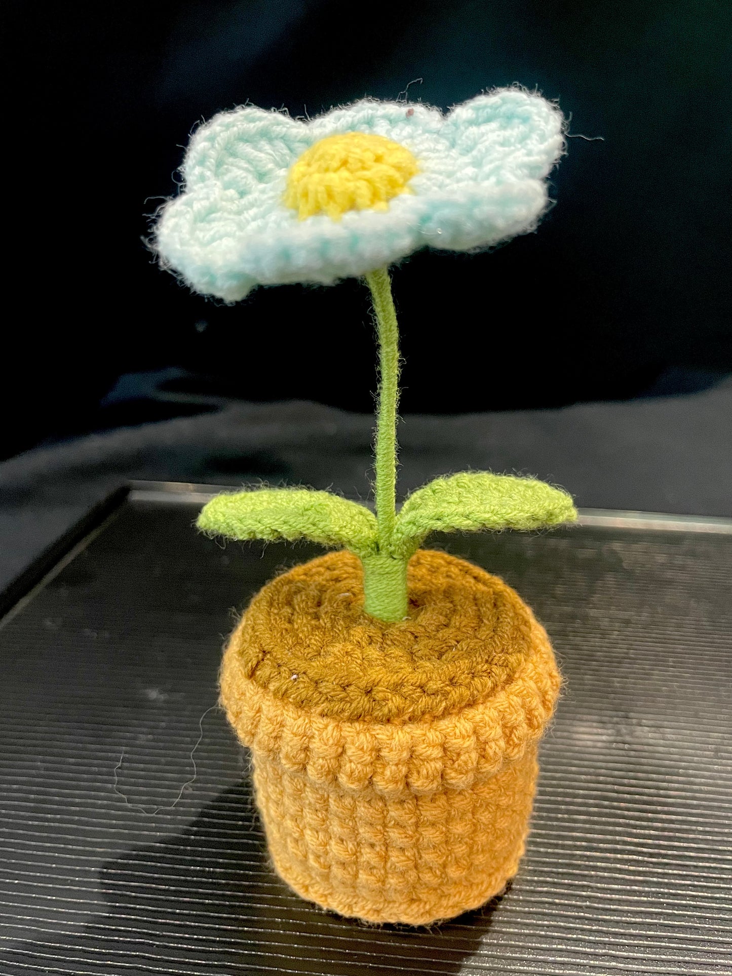 Daisy Pot (Single)