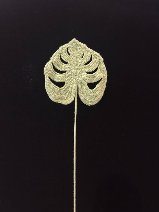 Lobed Leaf