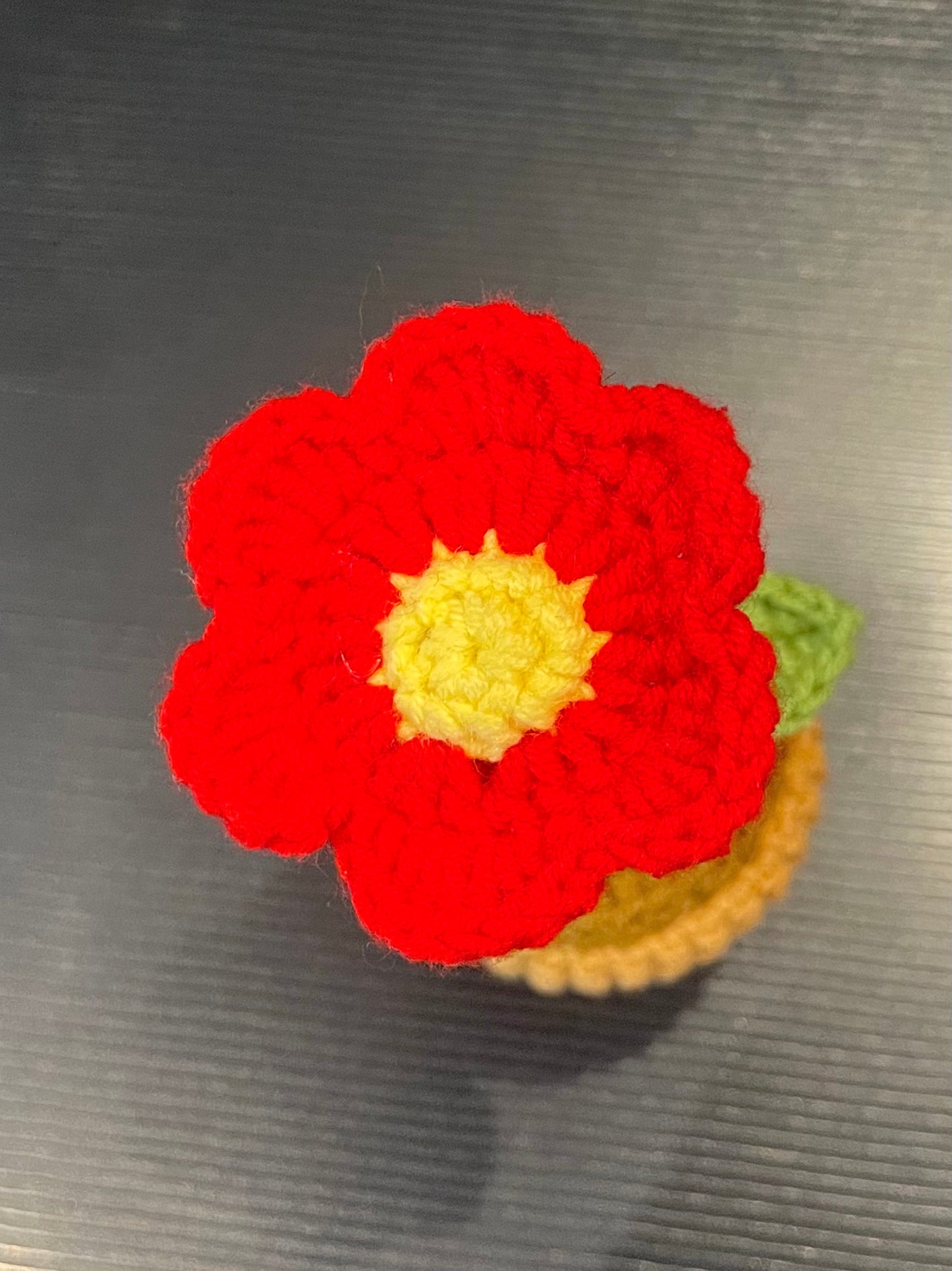 Daisy Pot (Single)