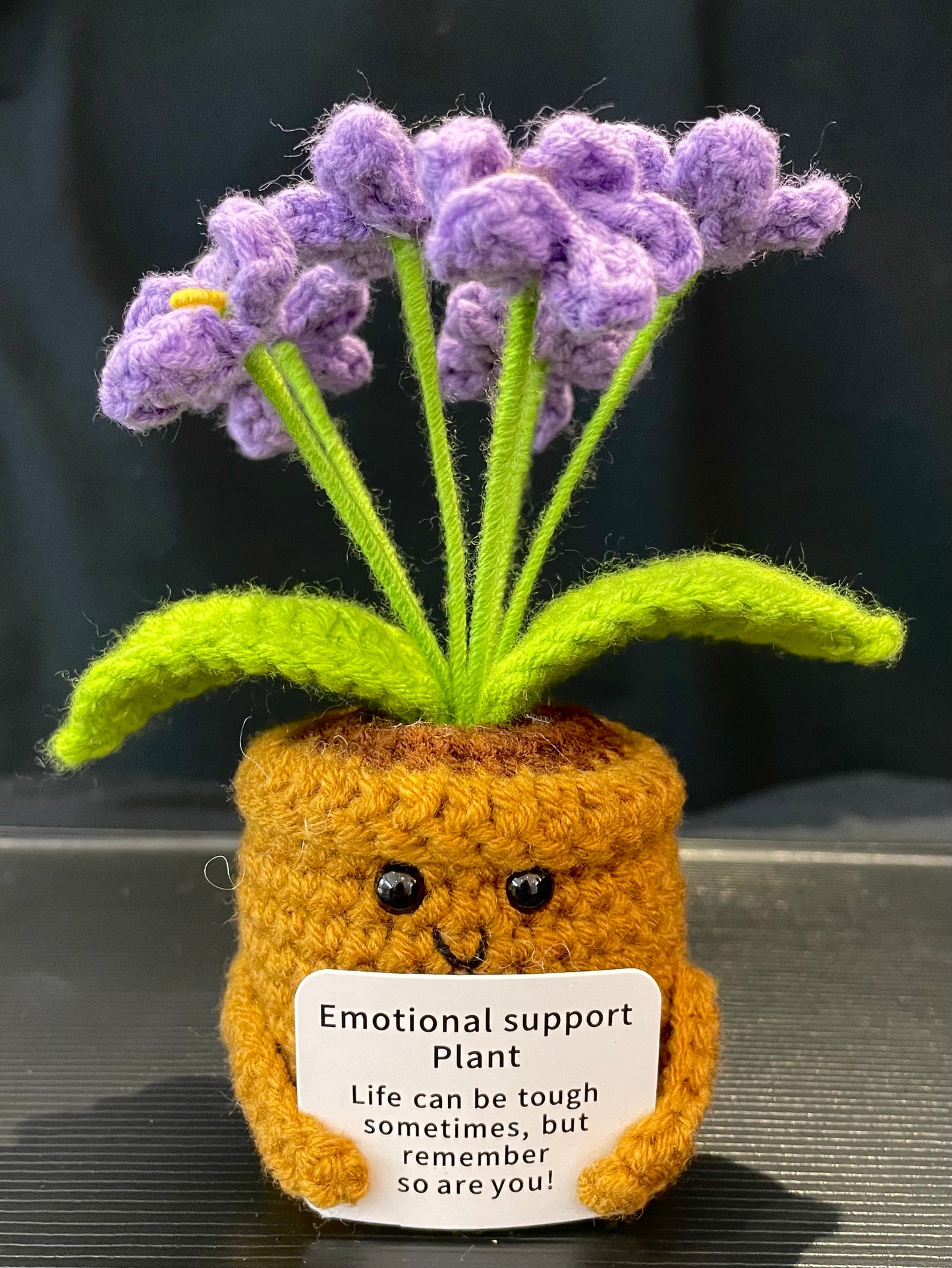 Emotional Support Plant (Foget-me-not)